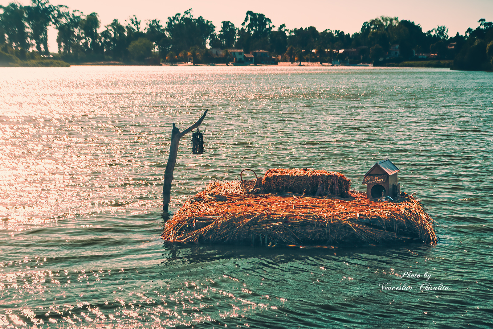 , Veaceslav Chisalita