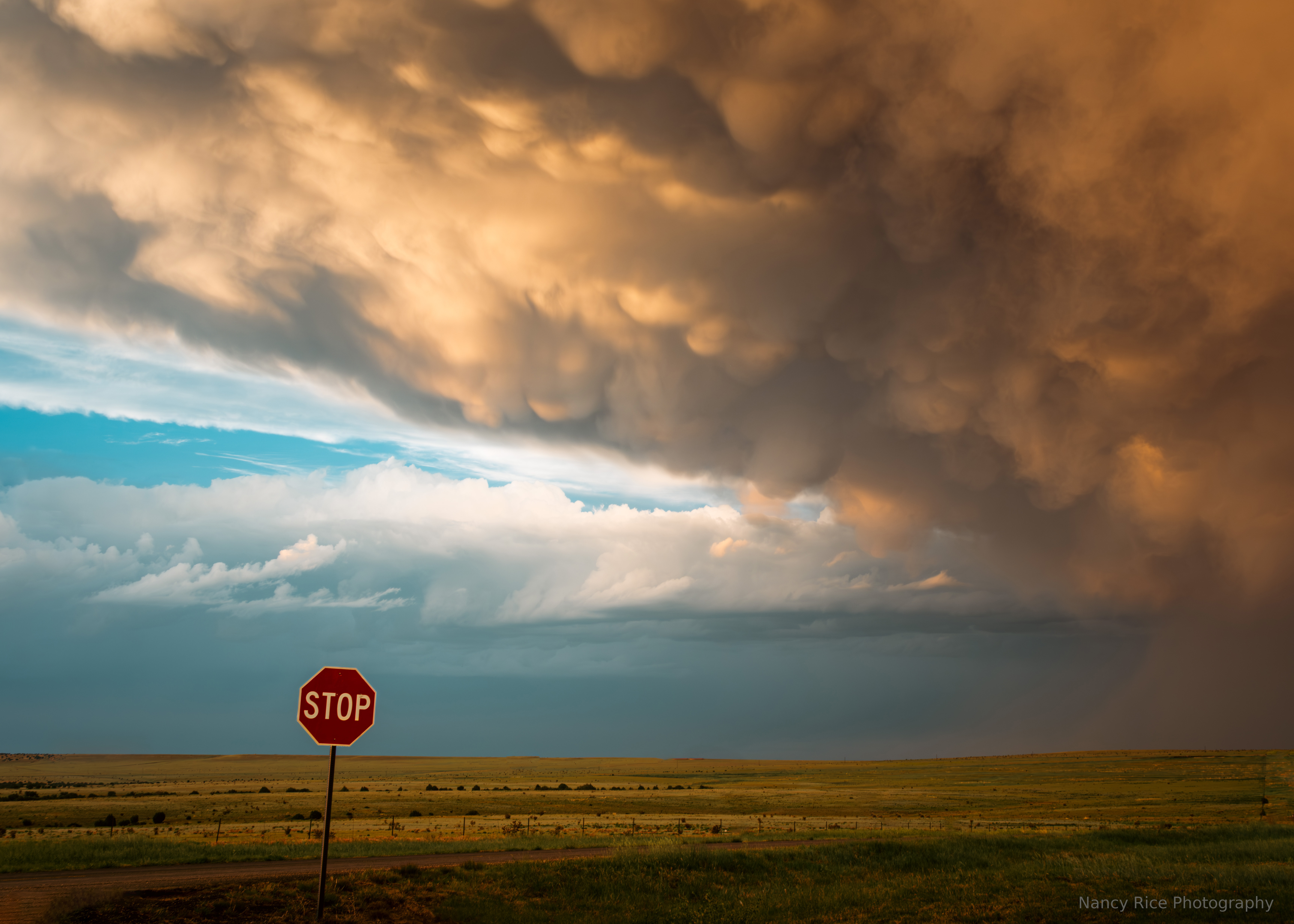 new mexico, usa, america, storm, thunderstorm, clouds, cloud, mammatus,  weather, sign, landscape, nature, outdoors, Nancy Rice