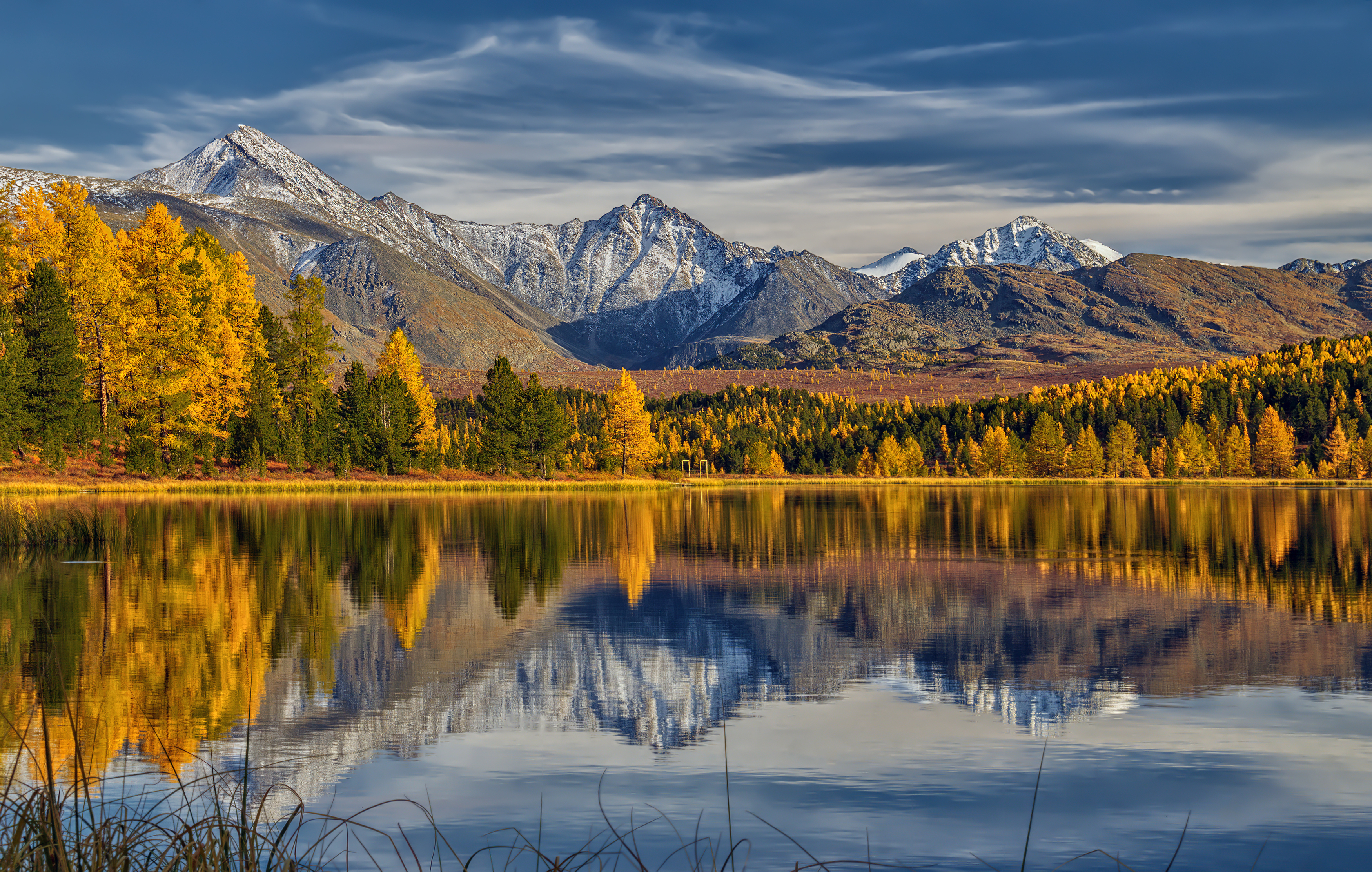 , Юдинских Марина