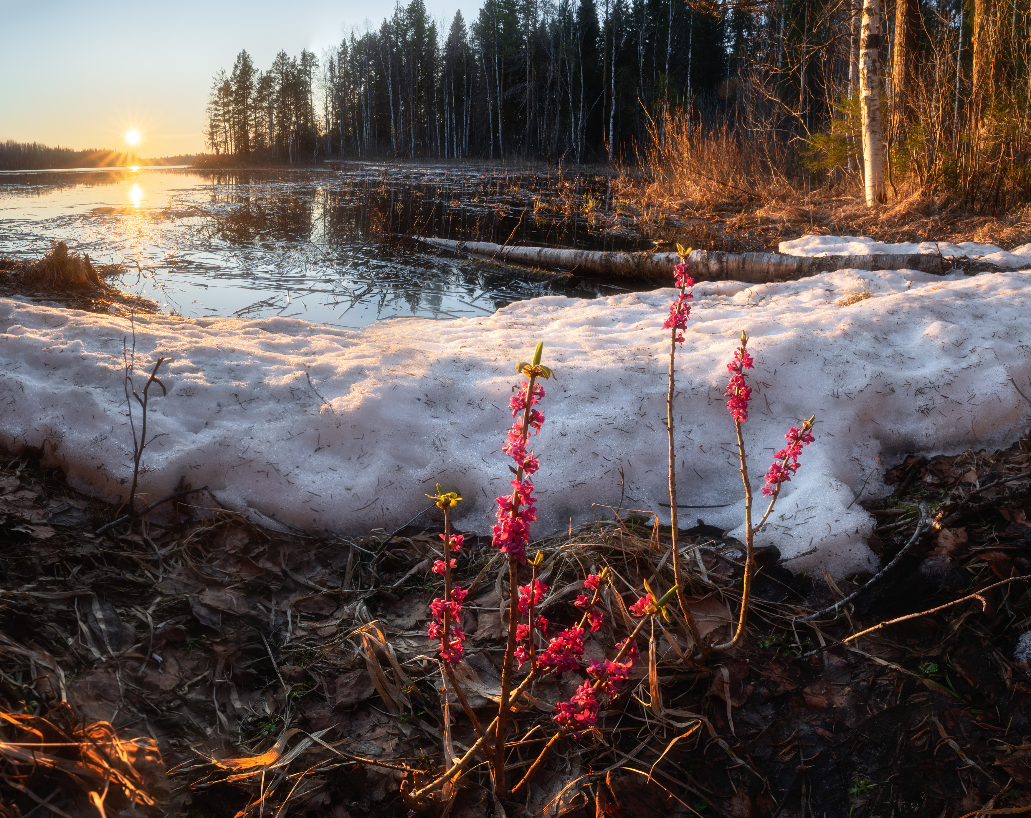 , Алексей Турчин