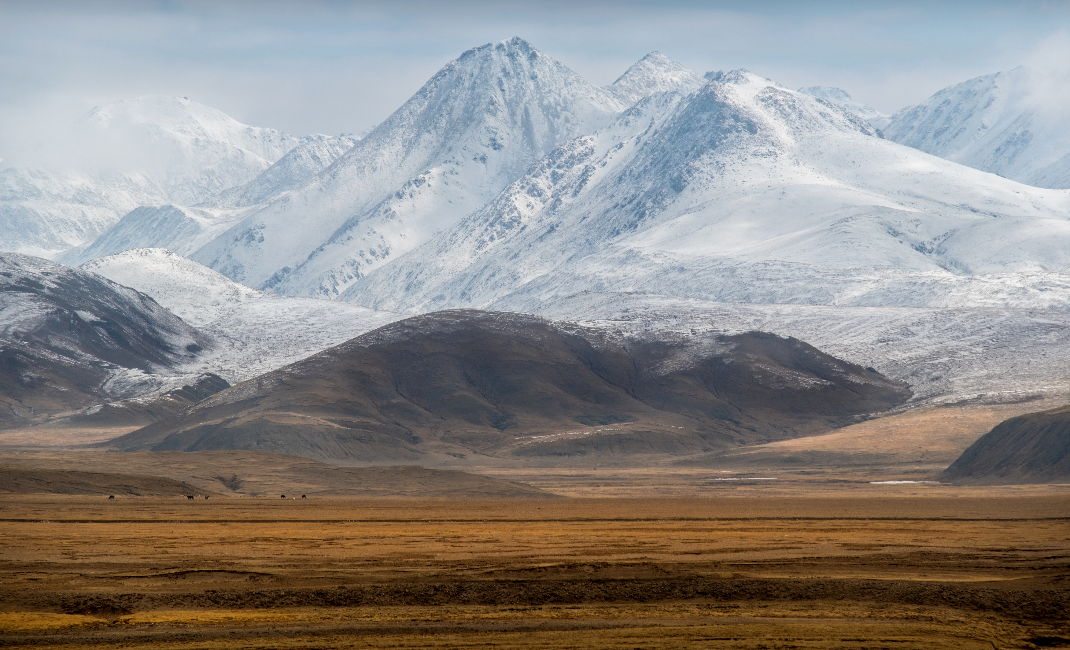 тибет, tibet, нд, тибет 2024, тибетское нагорье, тибетское плато, трансгималаи, гандисышань, гангдисе, горы, Демкина Надежда