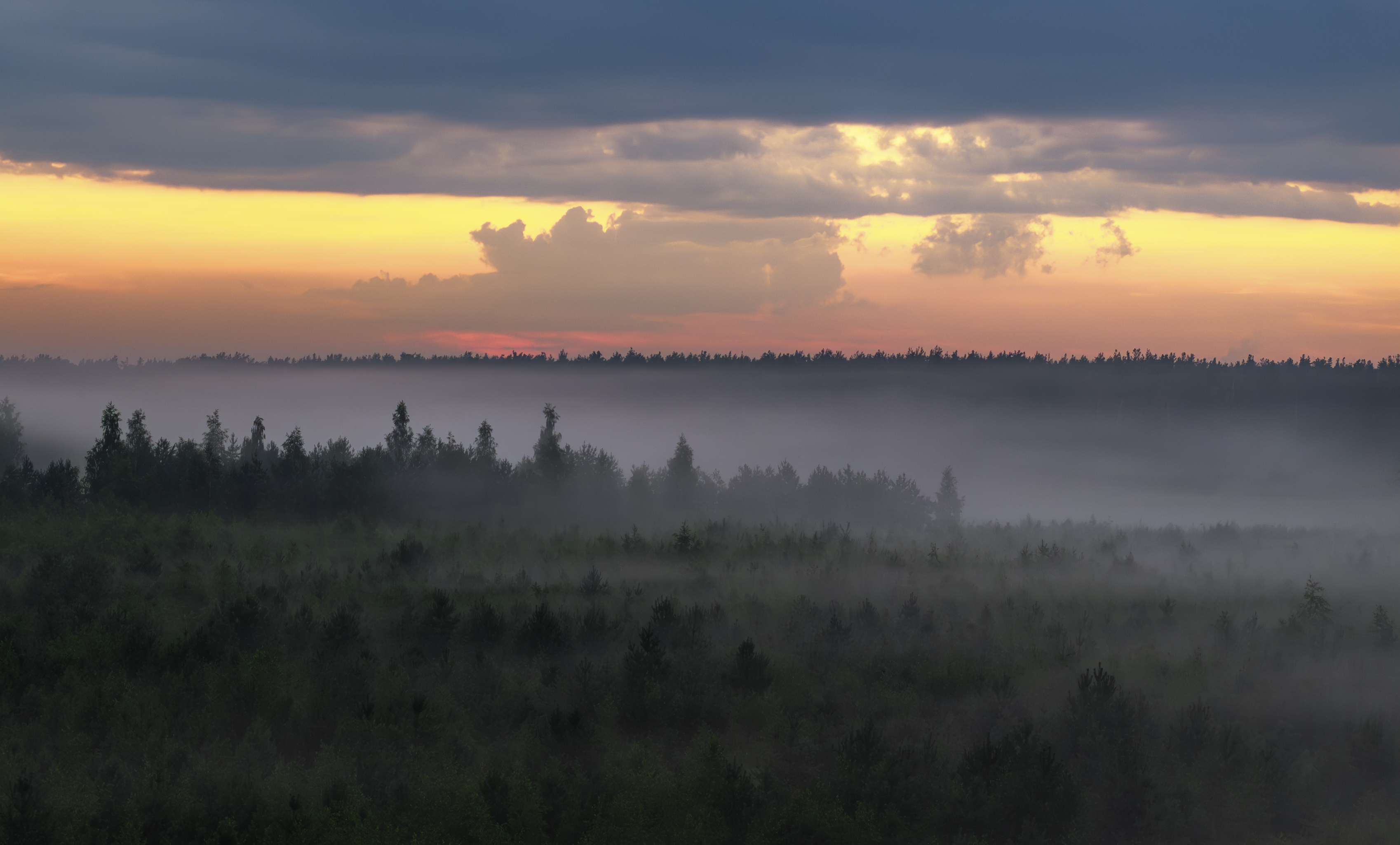 туман закат подмосковье, Игорь Юркин