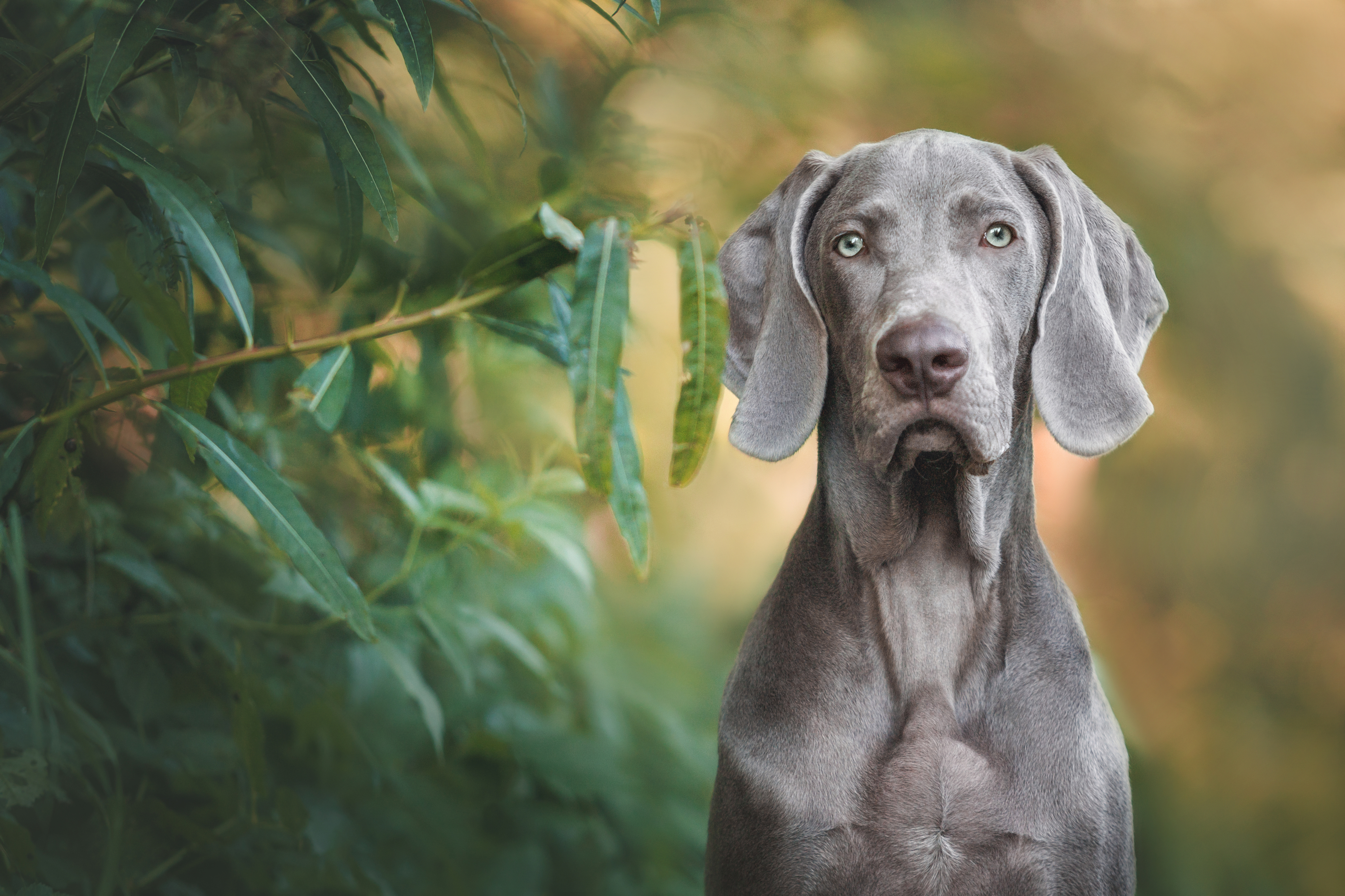 , Яна Нарбутович