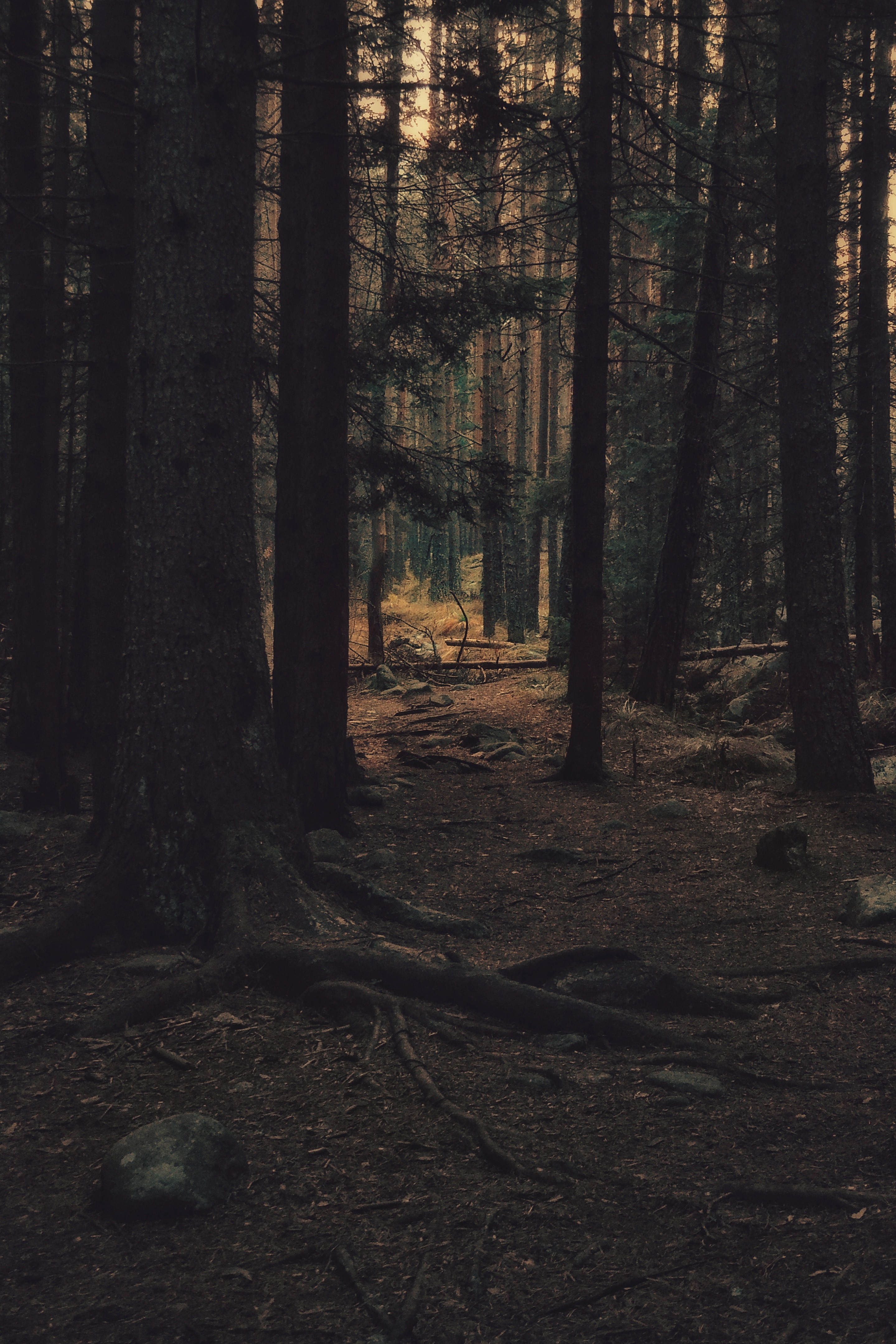 , Юлияна Стоянова