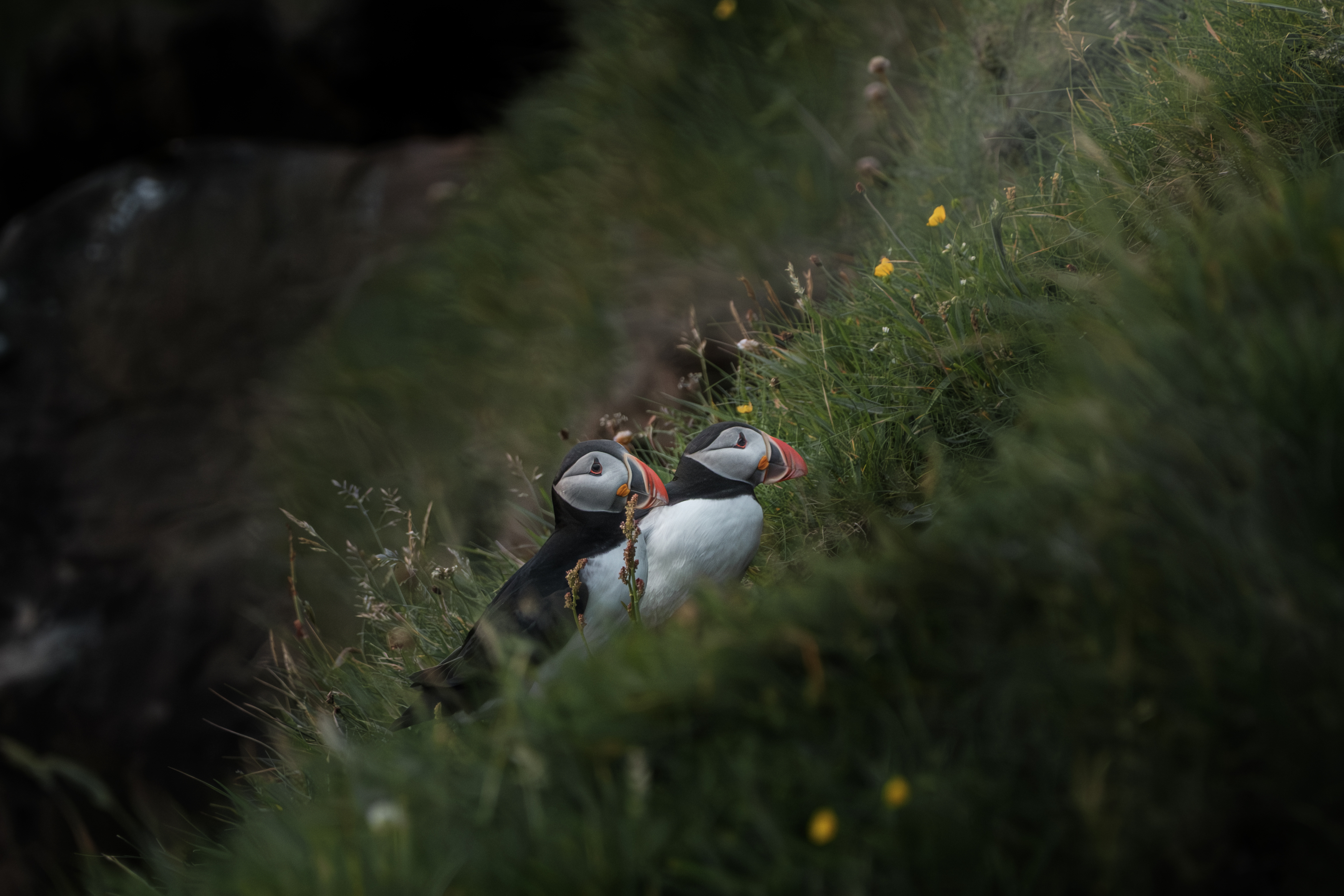 , Георгий Бычковский