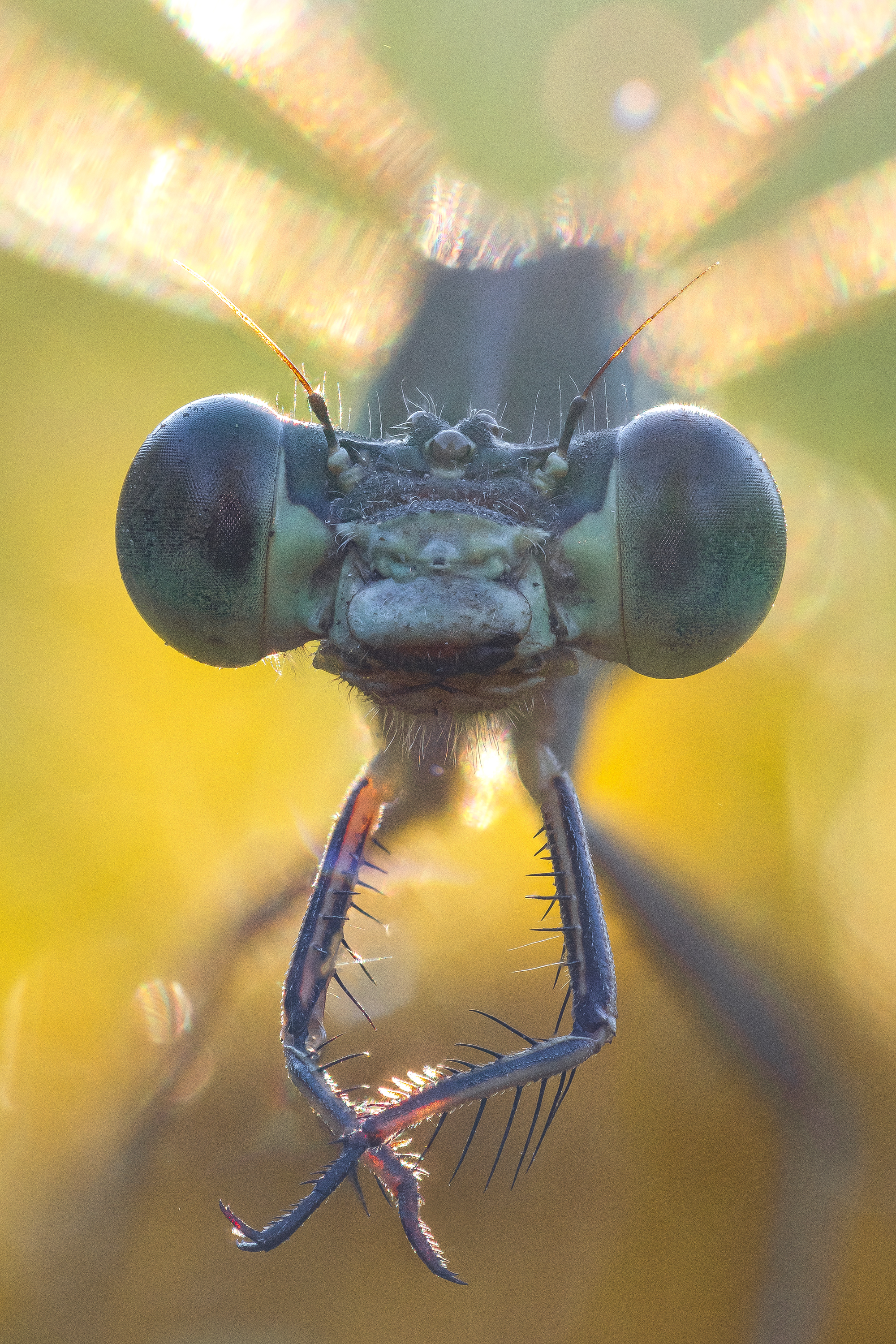 , Кузнецов Дмитрий