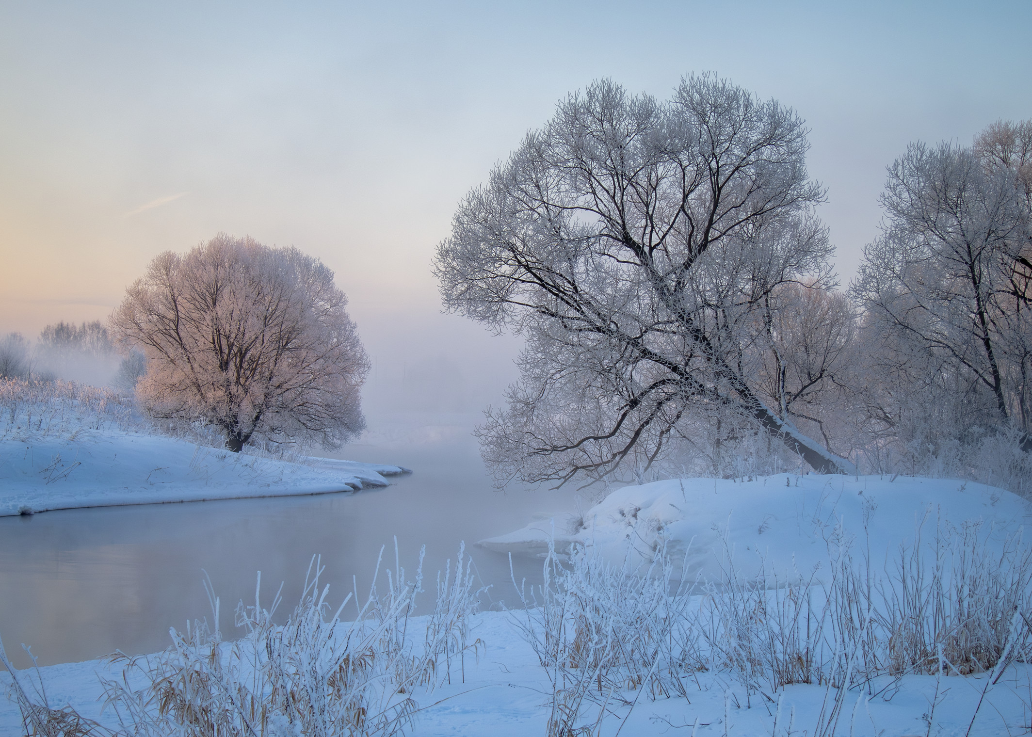 река истра, мороз, иней, Медведев Александр