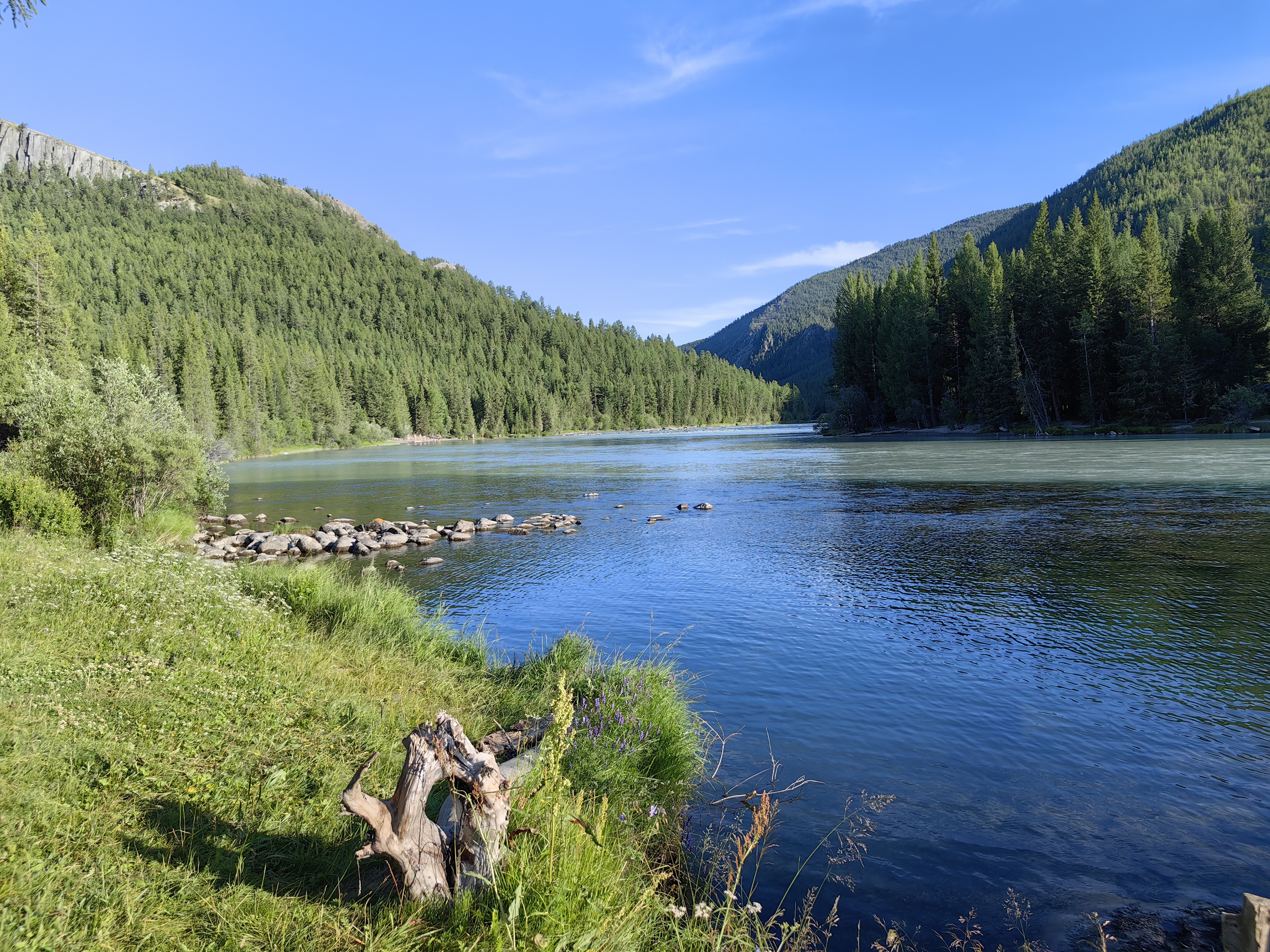 река бара,аргут,слияние,природа,горы,небо,пейзаж,алтай, Козлова Галина