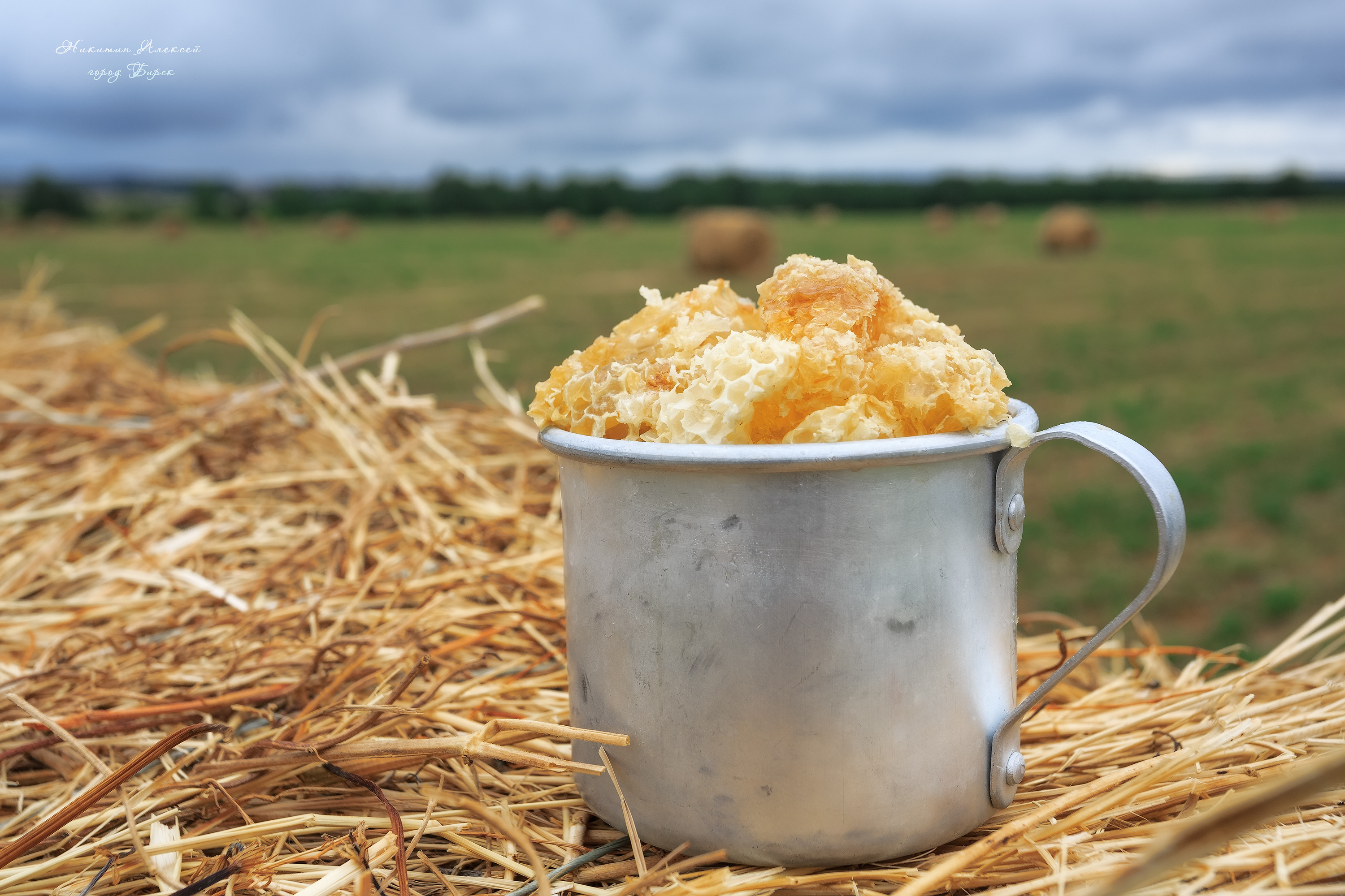 , Никитин Алексей