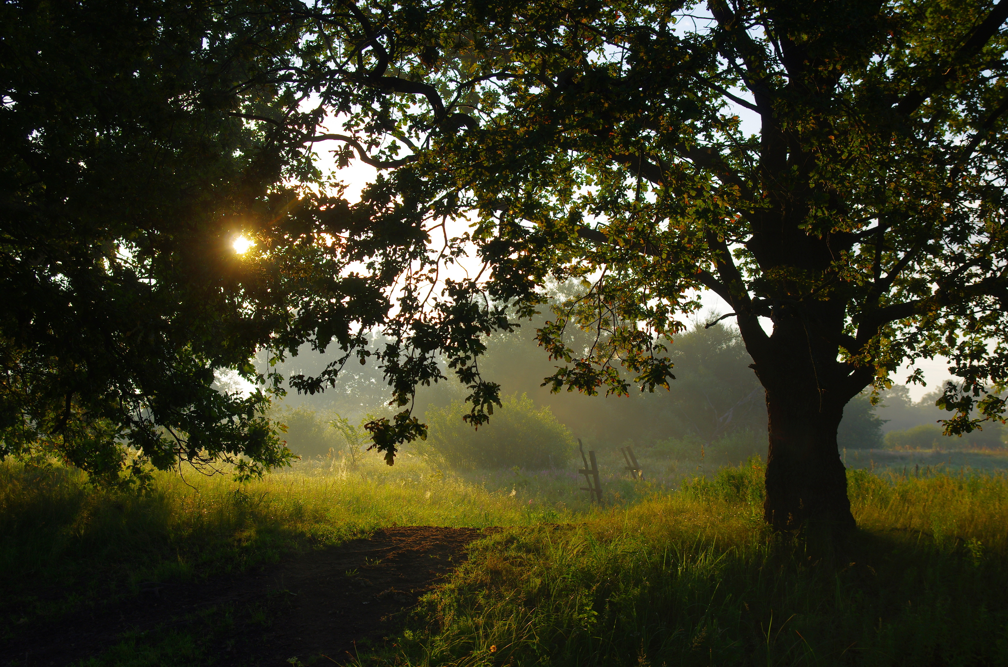 , Шляга Сергей