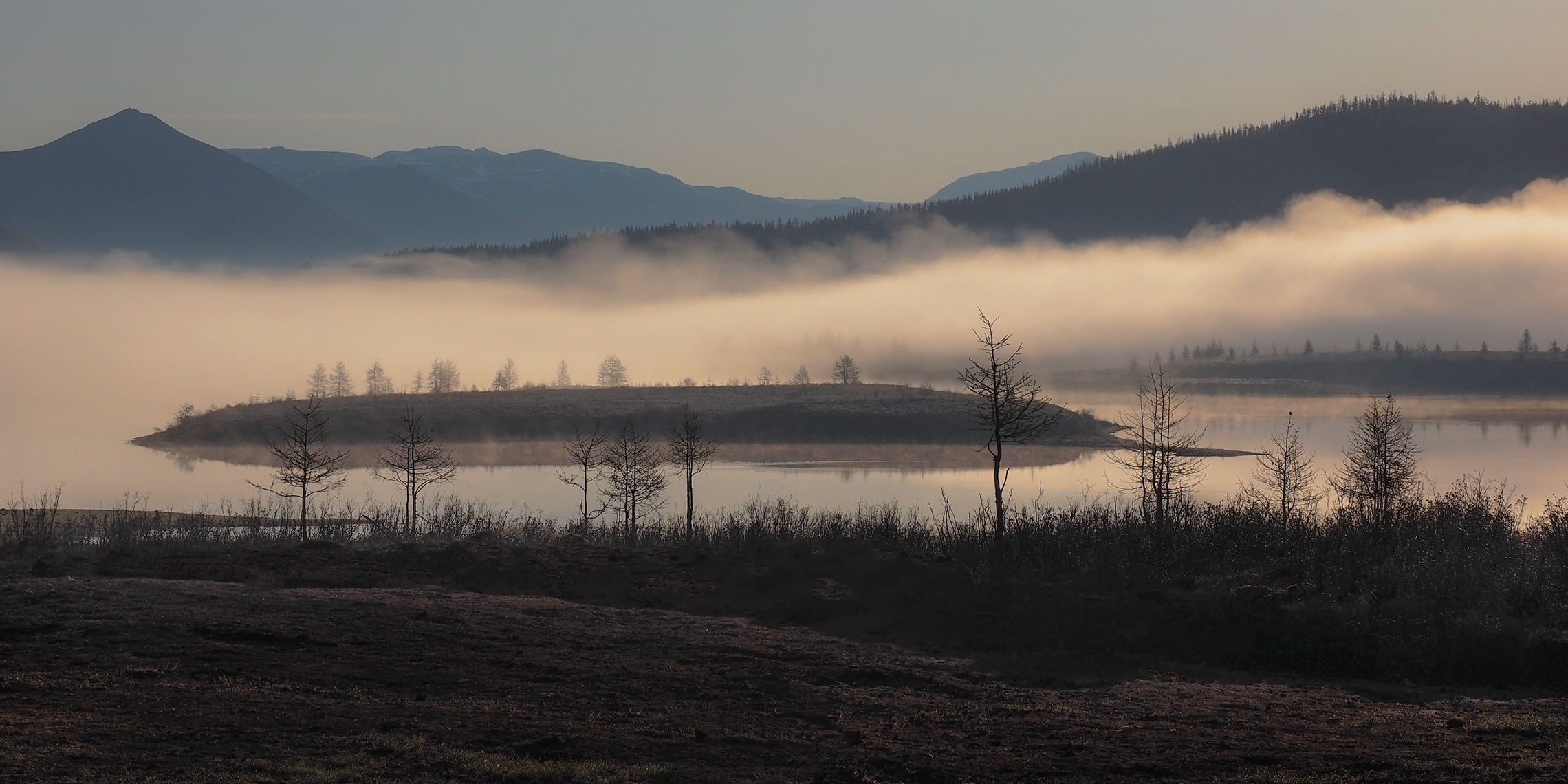 , Александр Попов