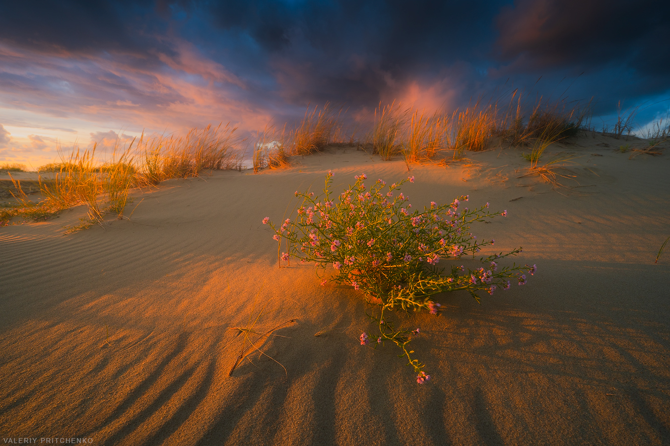 , Валерий Притченко
