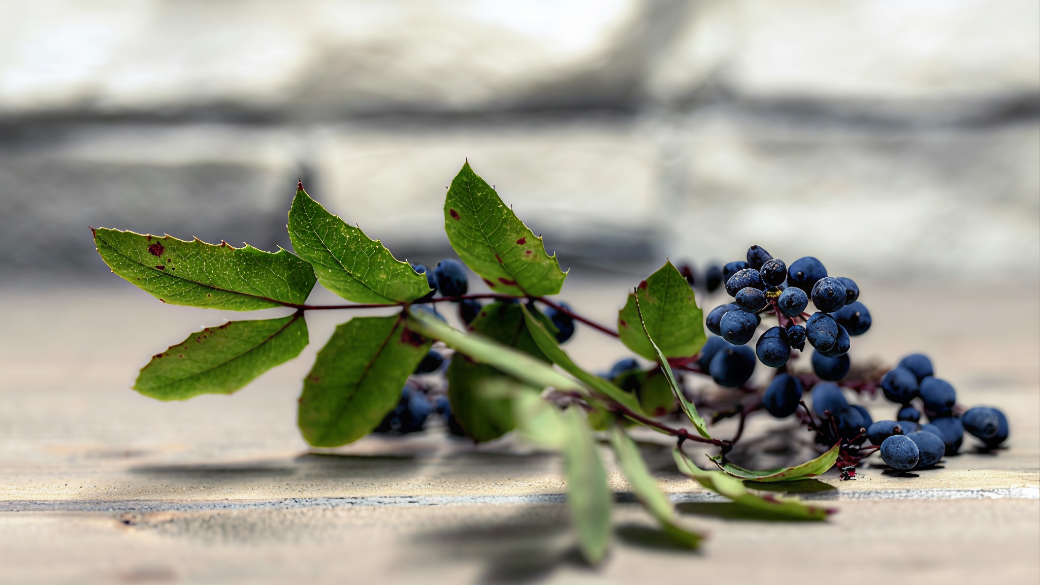 Натюрморт , Igor Lukin