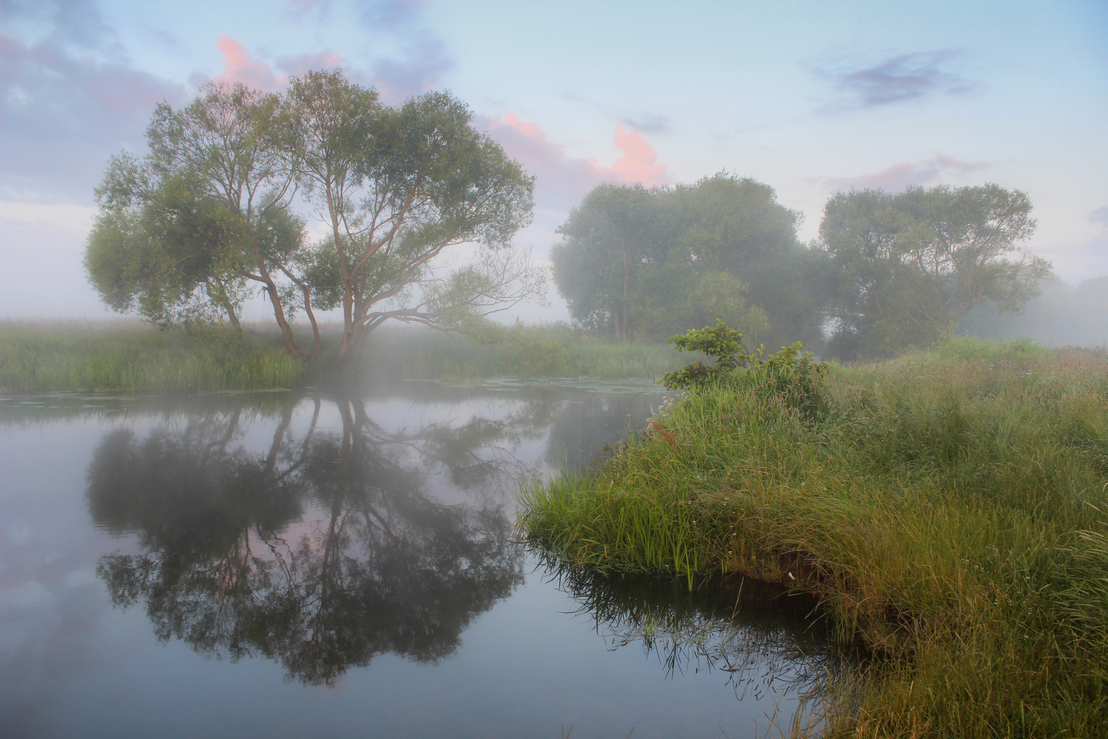 , Игорь Денисов