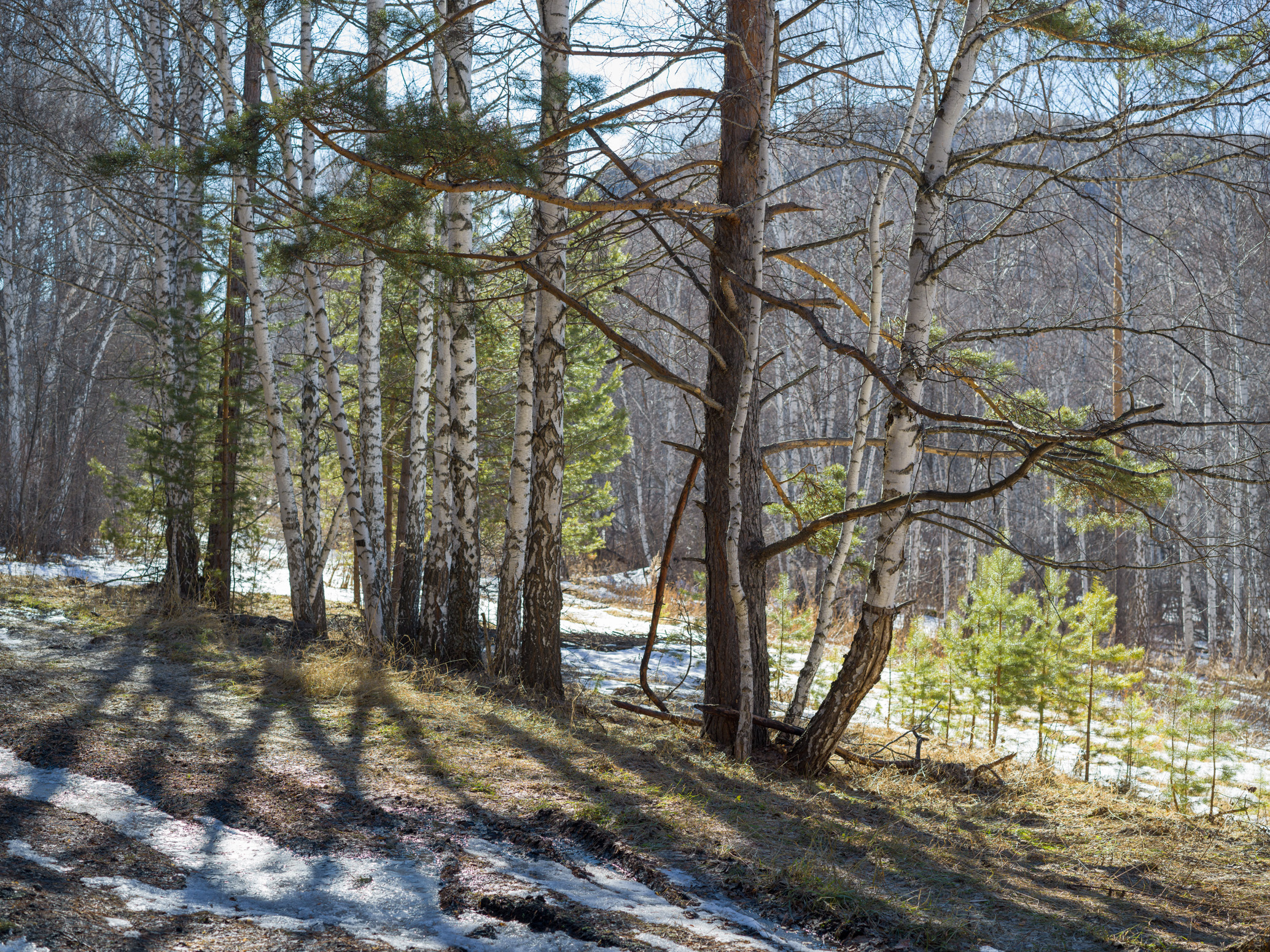 , Шустиков Дмитрий