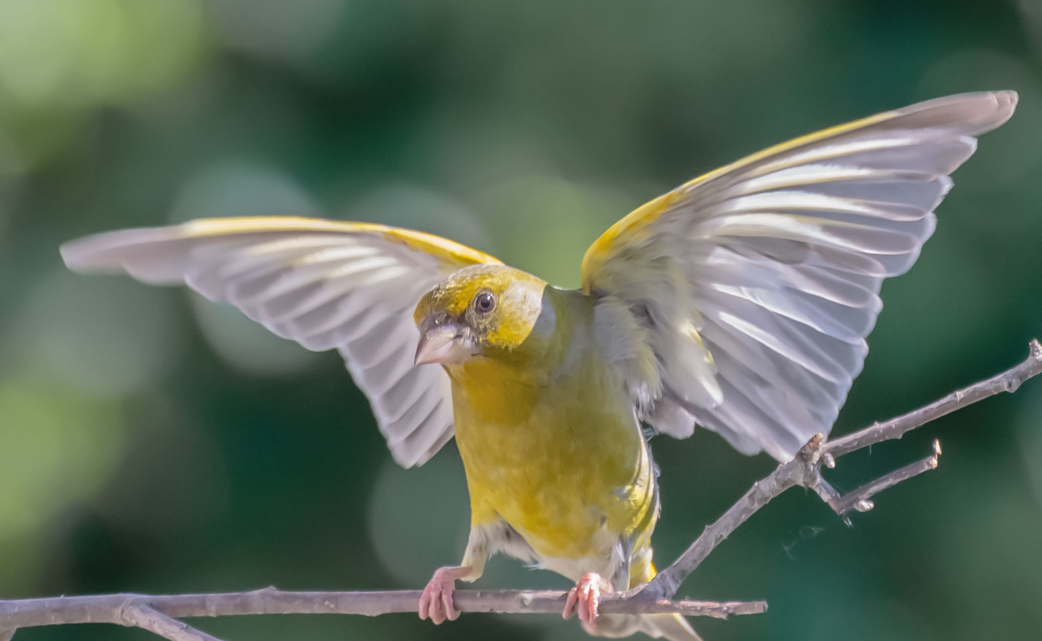 , Пушкин Сергей