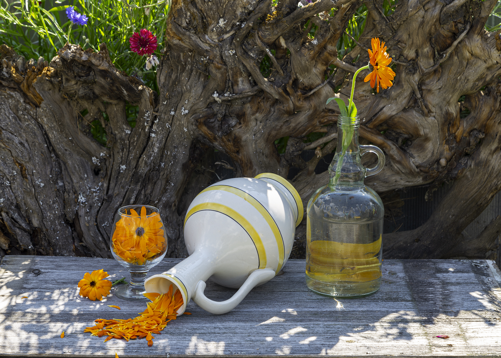 натюрморт., Анкудинов Леонид