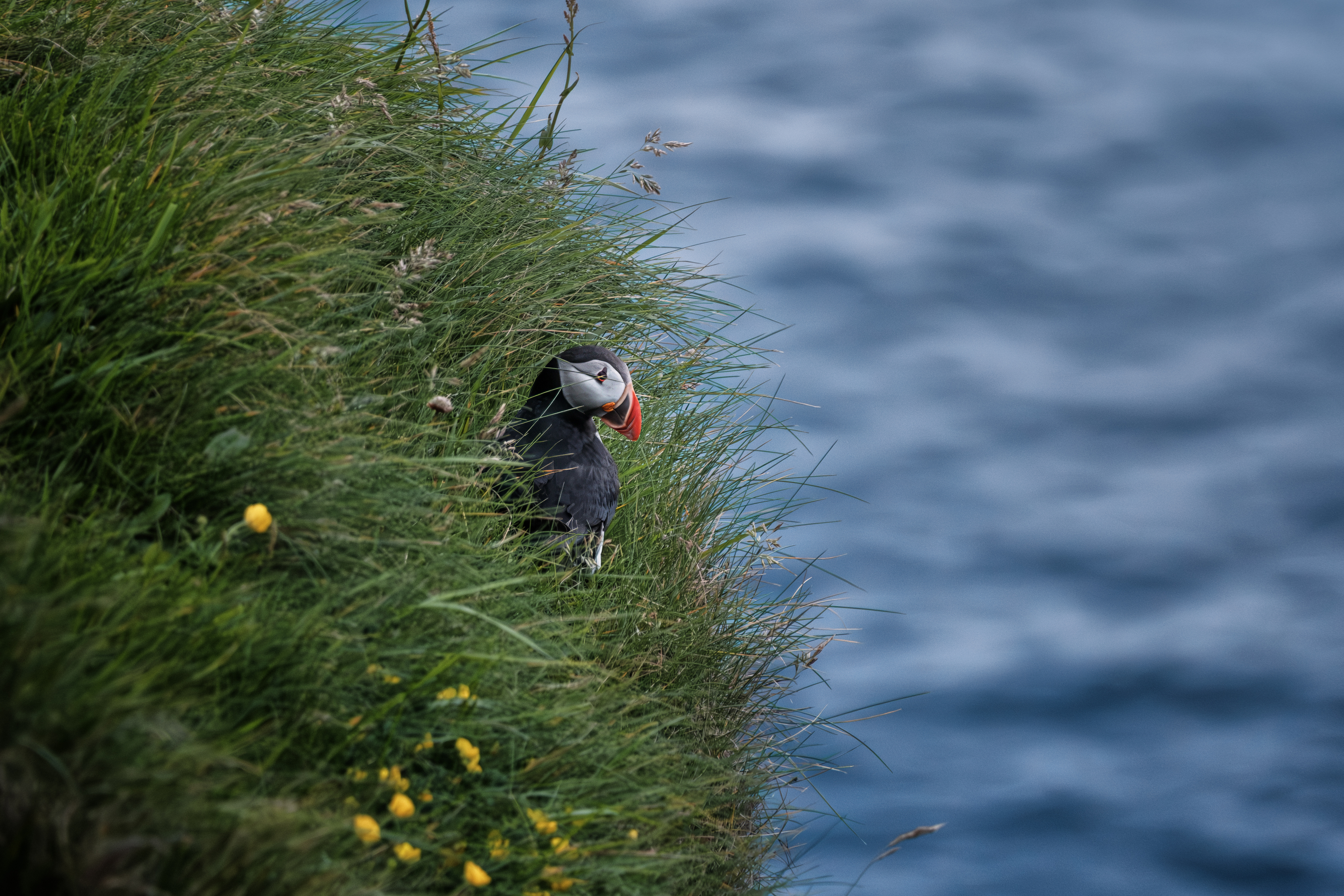 , Георгий Бычковский