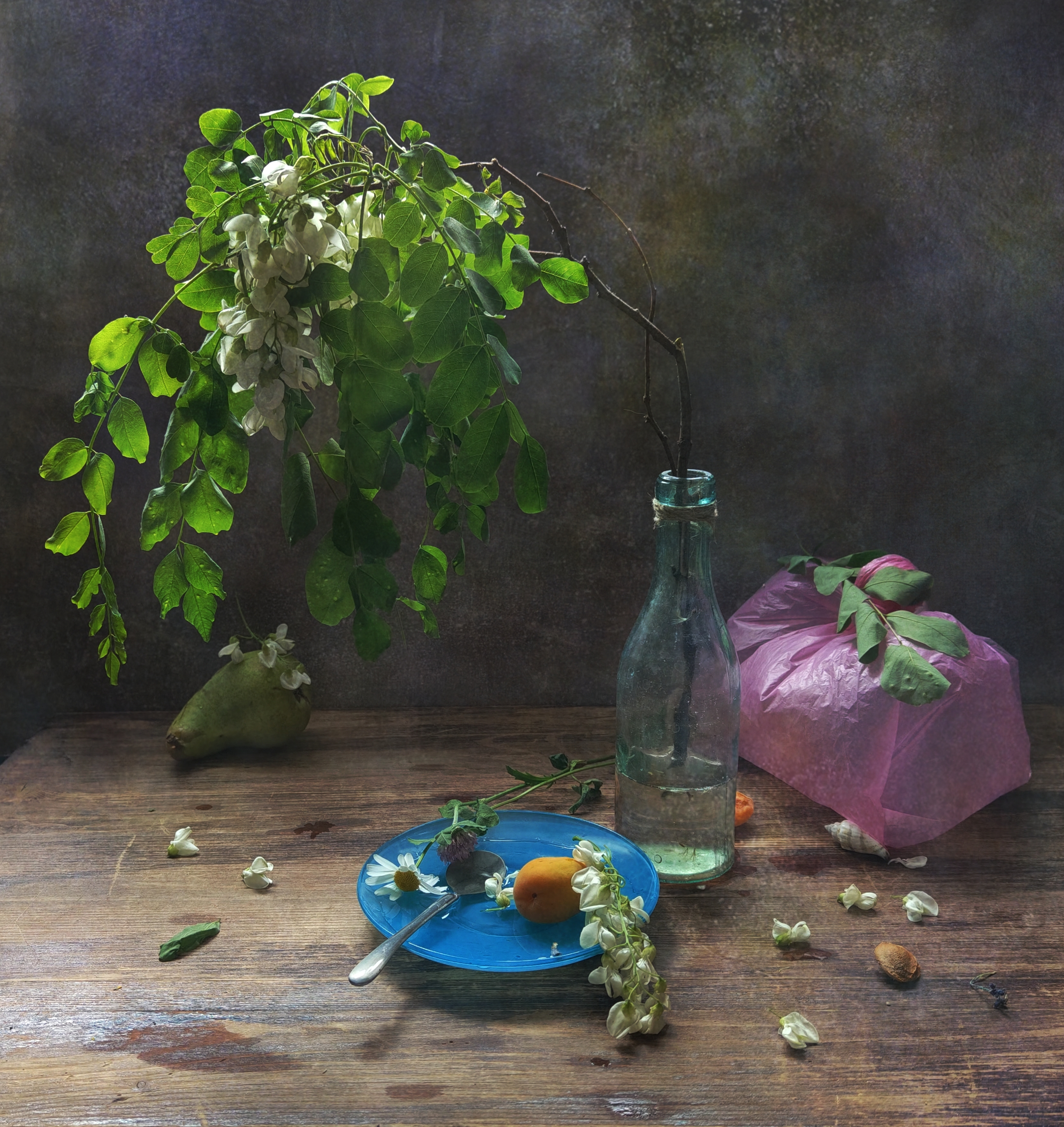 акация, ветка, груша, Ирина Курмалеева