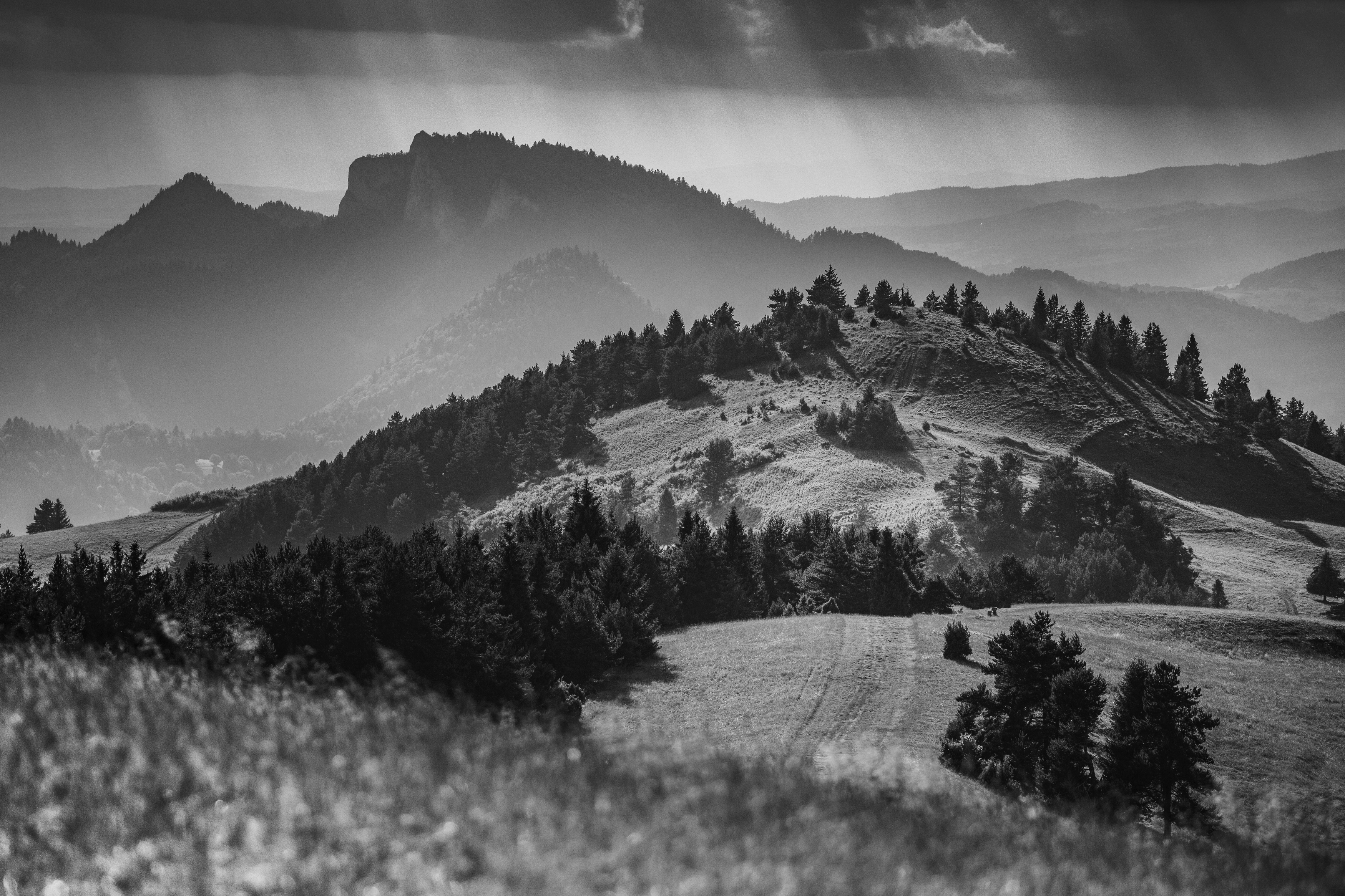 Nature, Mountain, Day, Cloud, Black and white, Monochrome, Pieniny, Durbaszka, Poland, Damian Cyfka