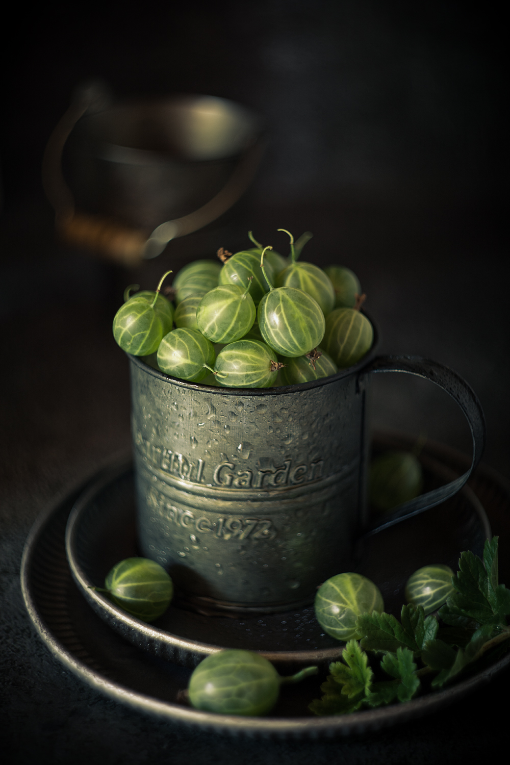 природа, лето, солнце, крыжовник, натюрморт, Александр Азаренков