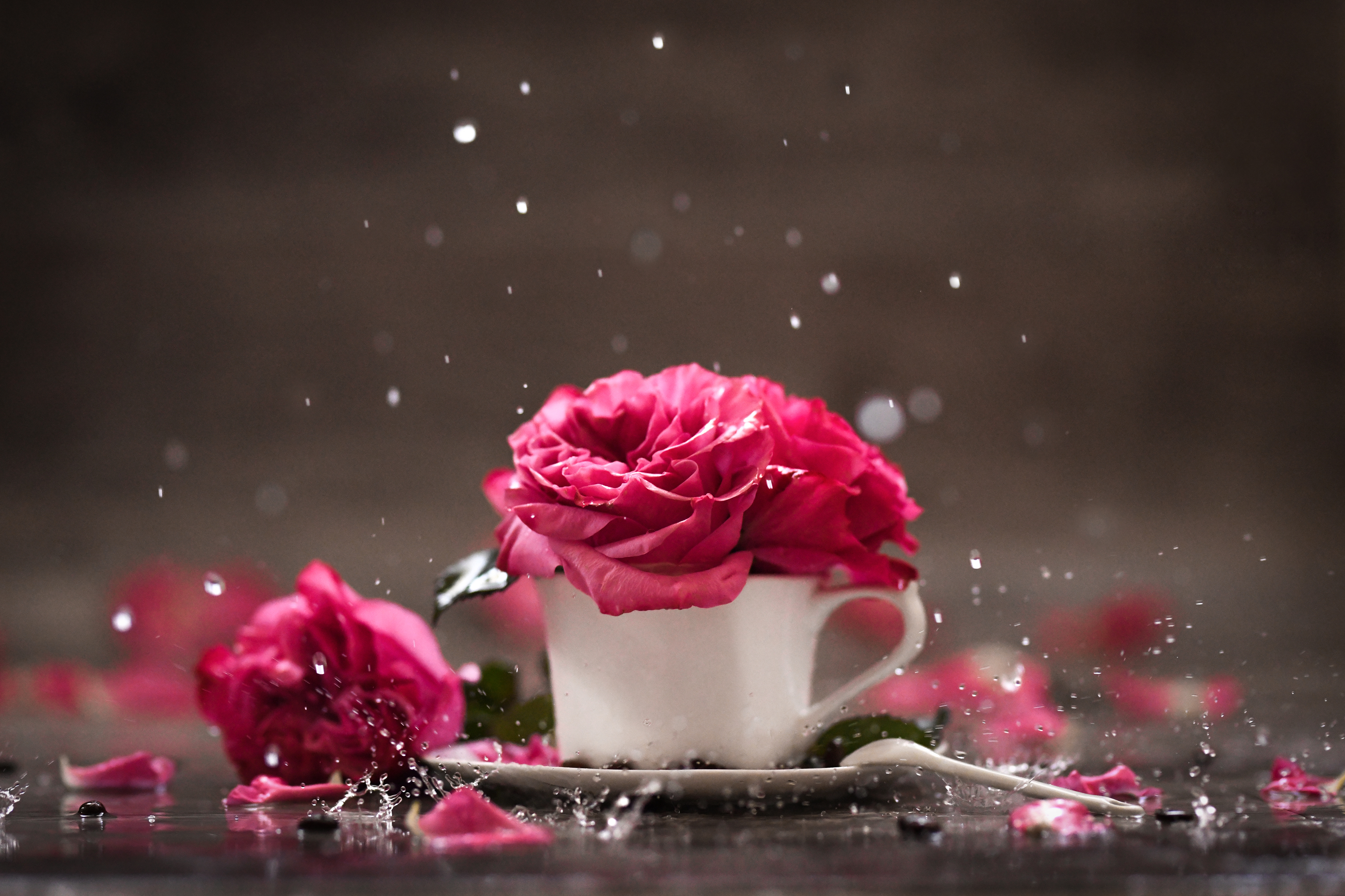 , Анна Штабель