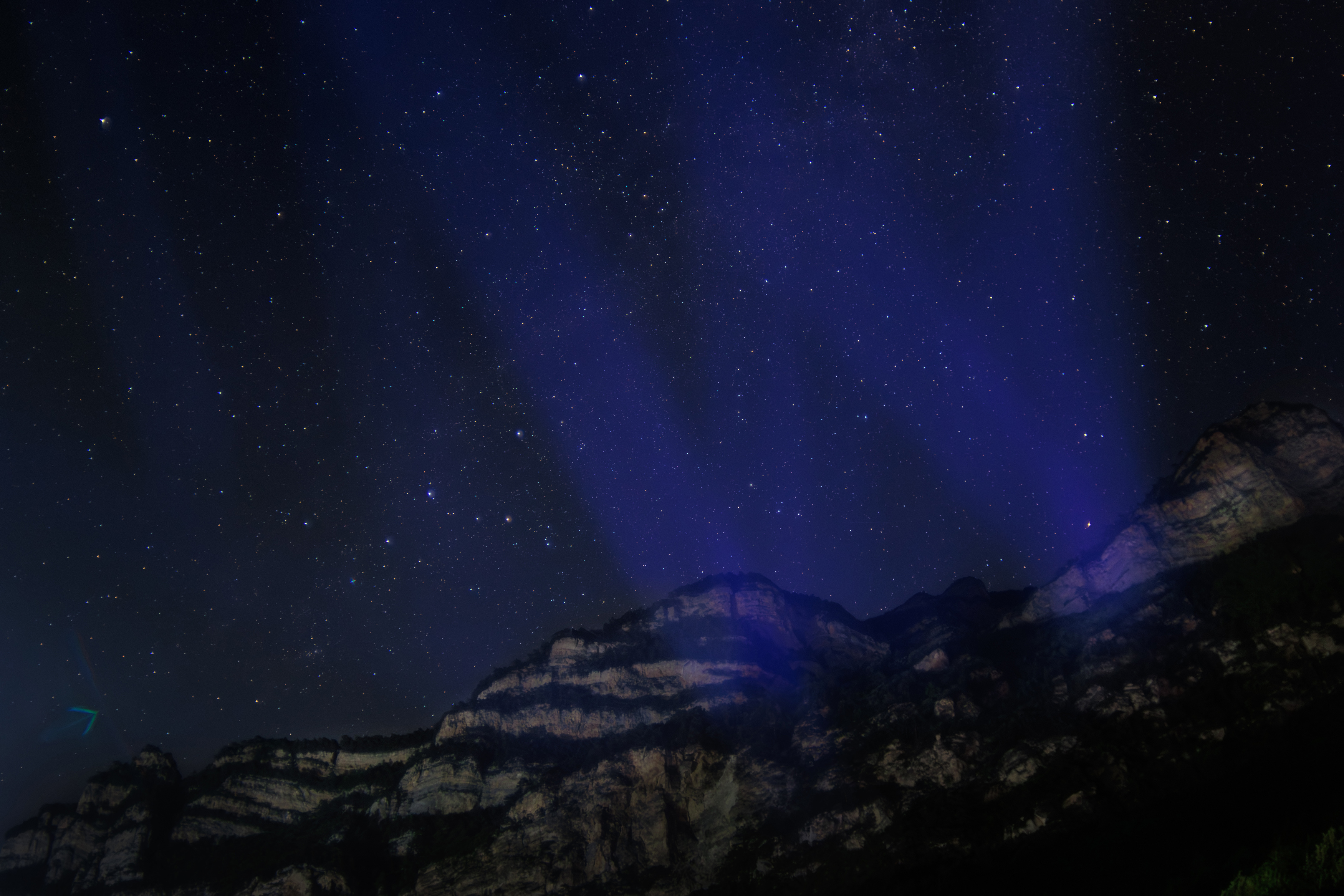 , Светлана Холодняк