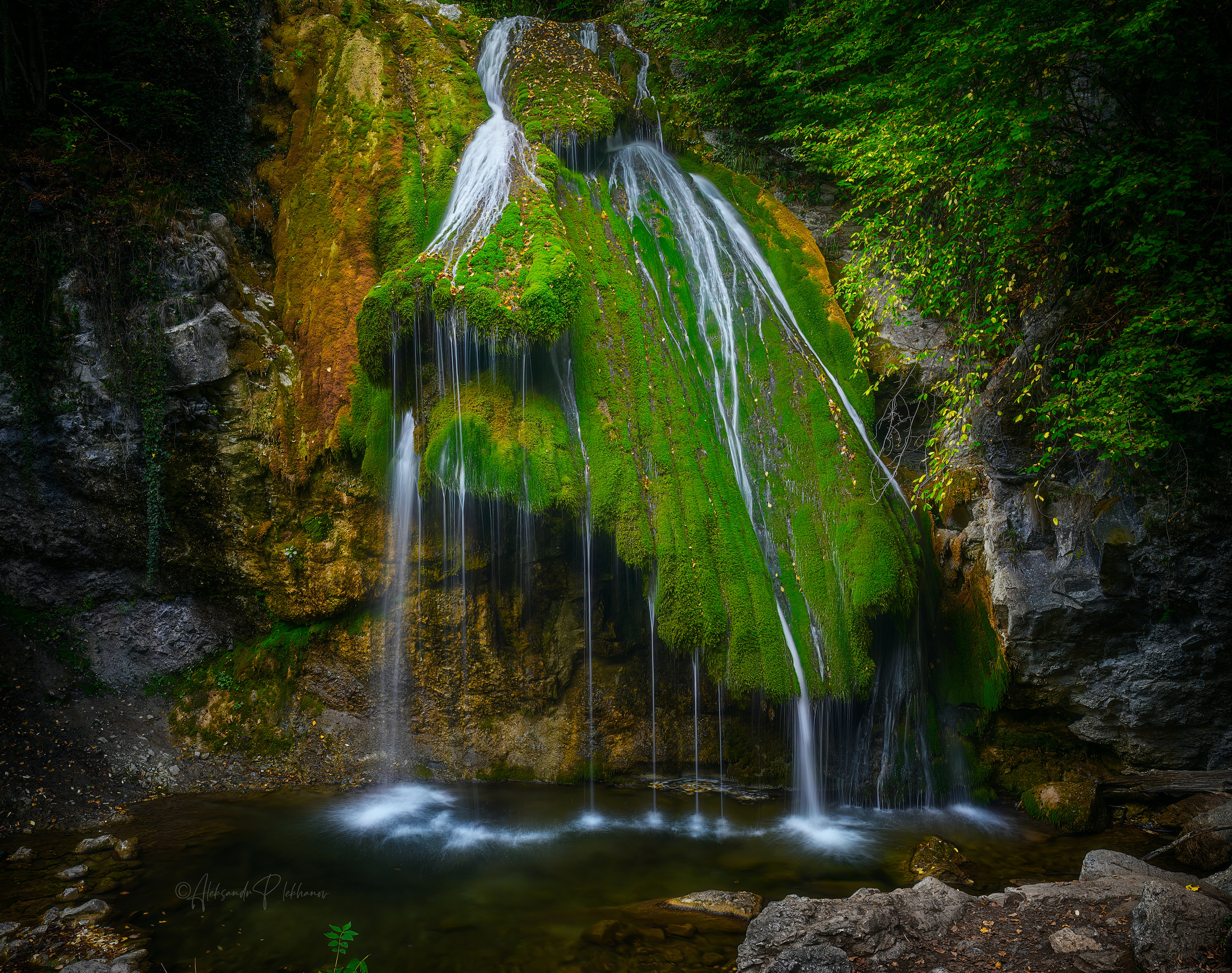 джур-джур,, Плеханов Александр