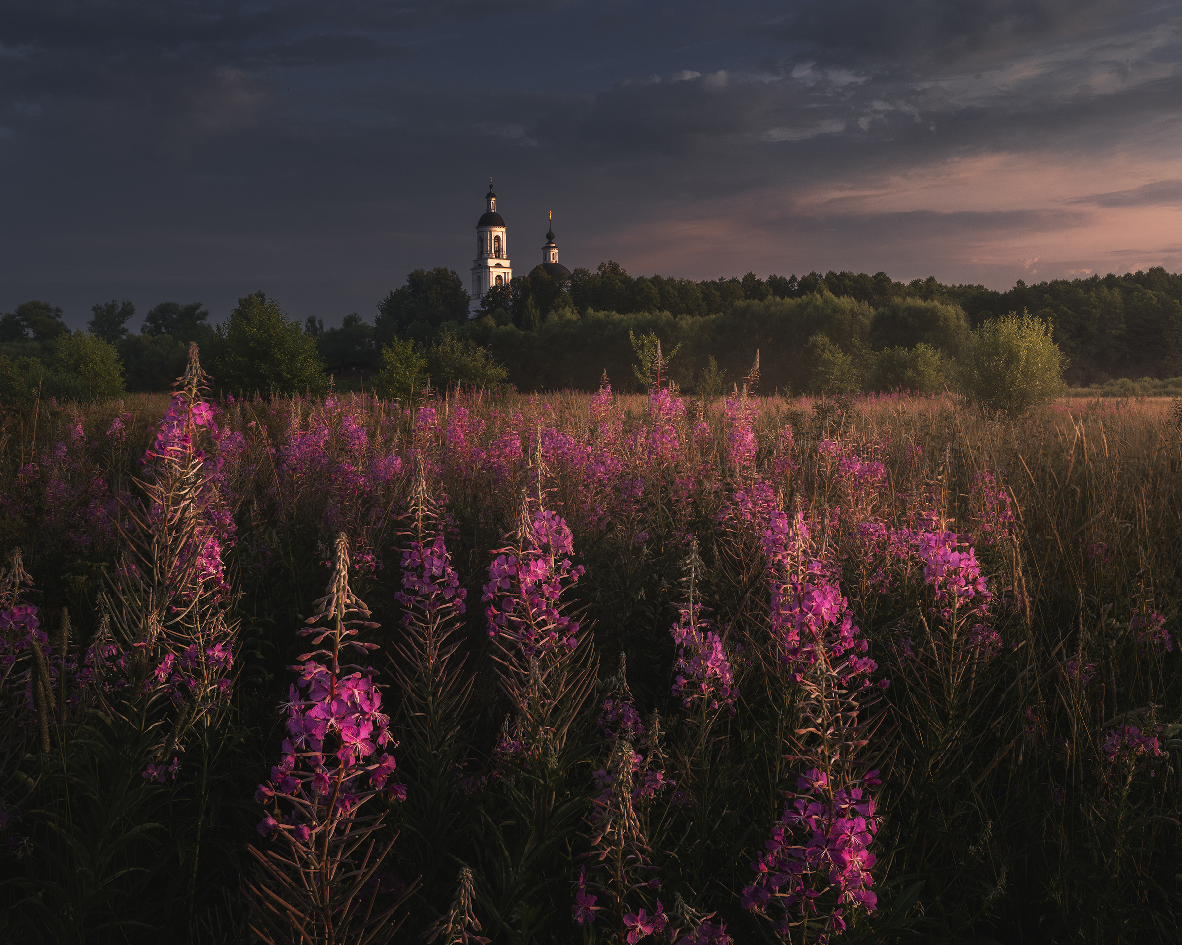 , Политова Анна