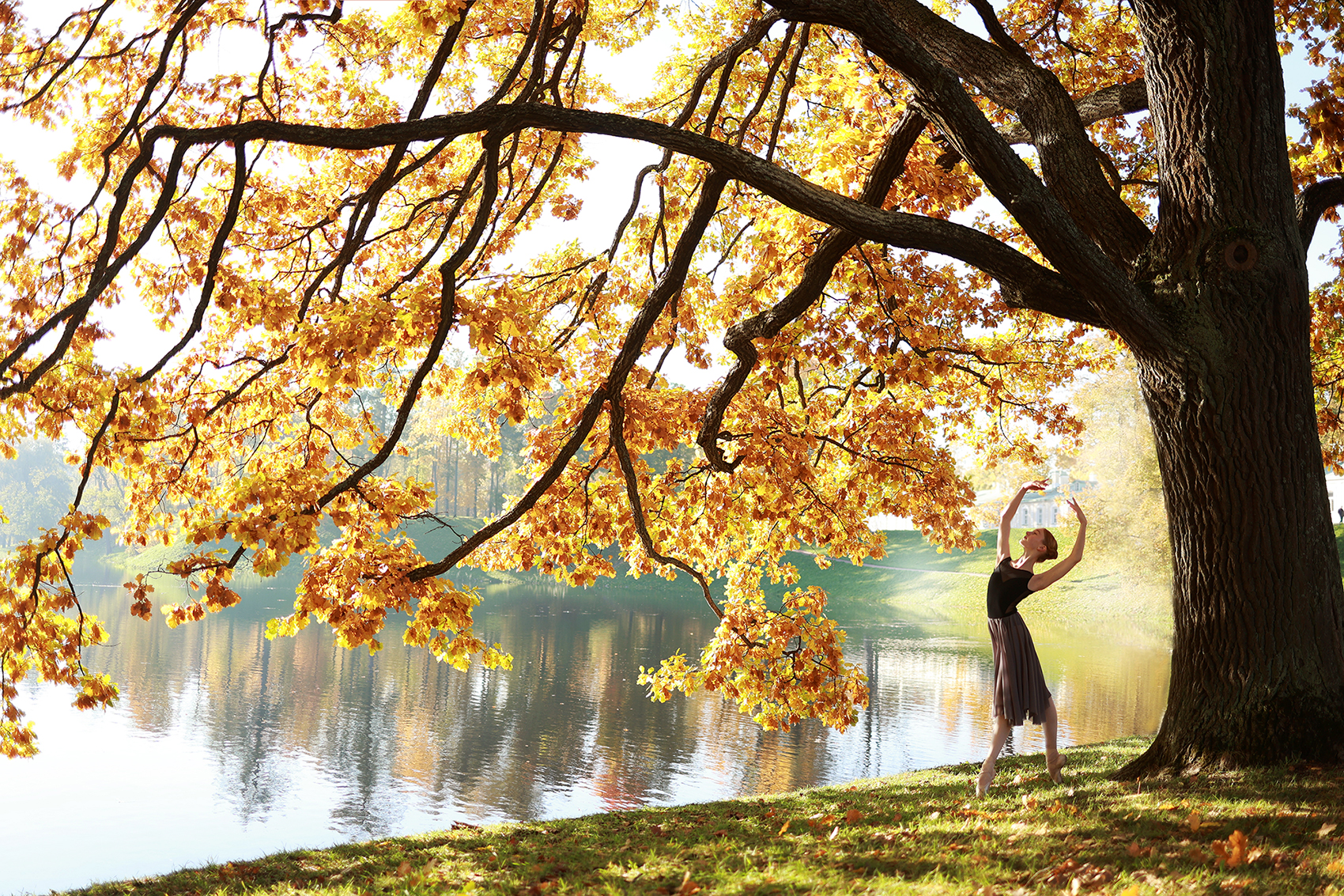 балет, балерина, пуанты, силуэт, фотография, момент, пейзаж, цвет, свет, жанр, Постонен Екатерина