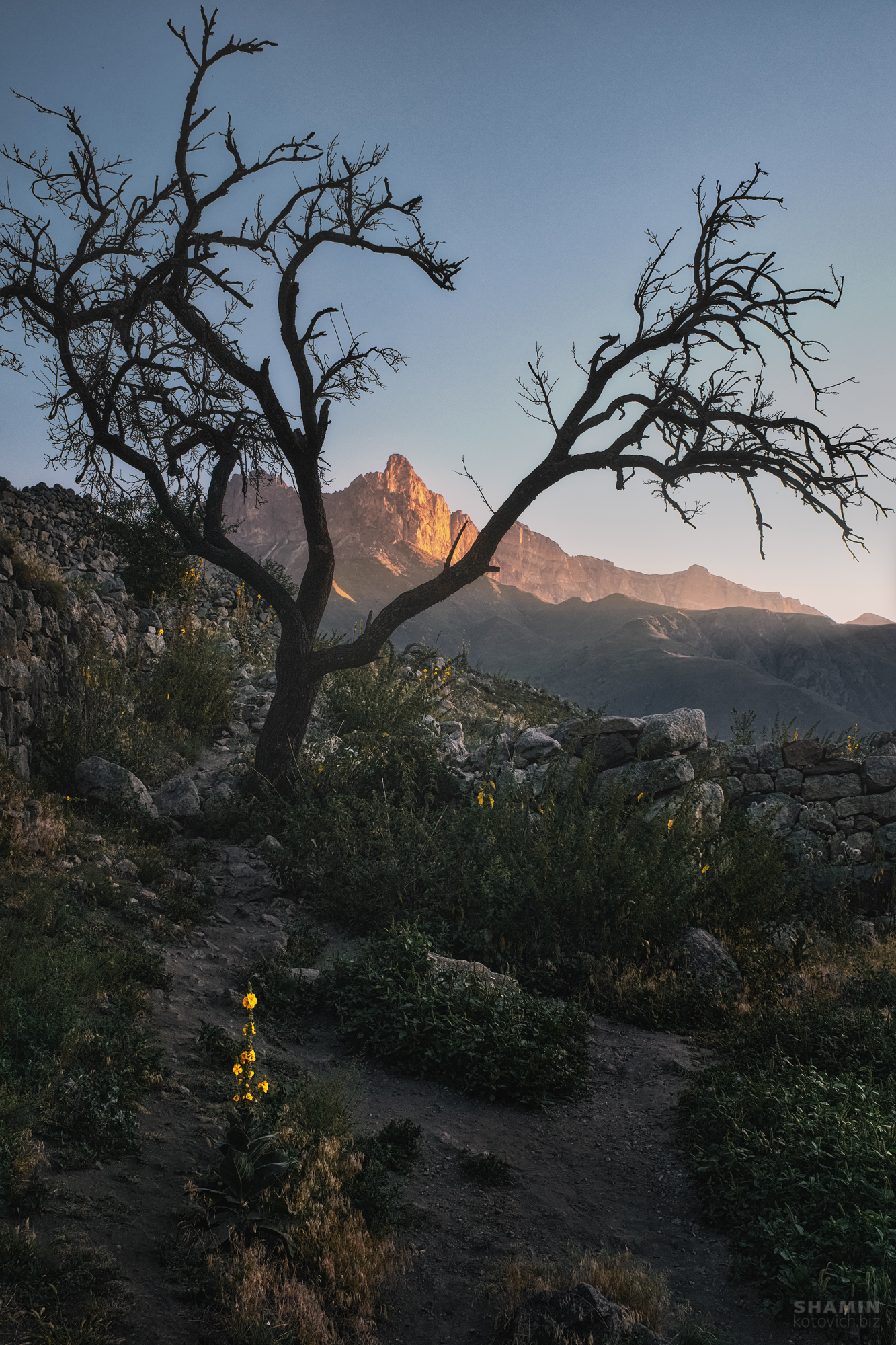 , Константин Шамин