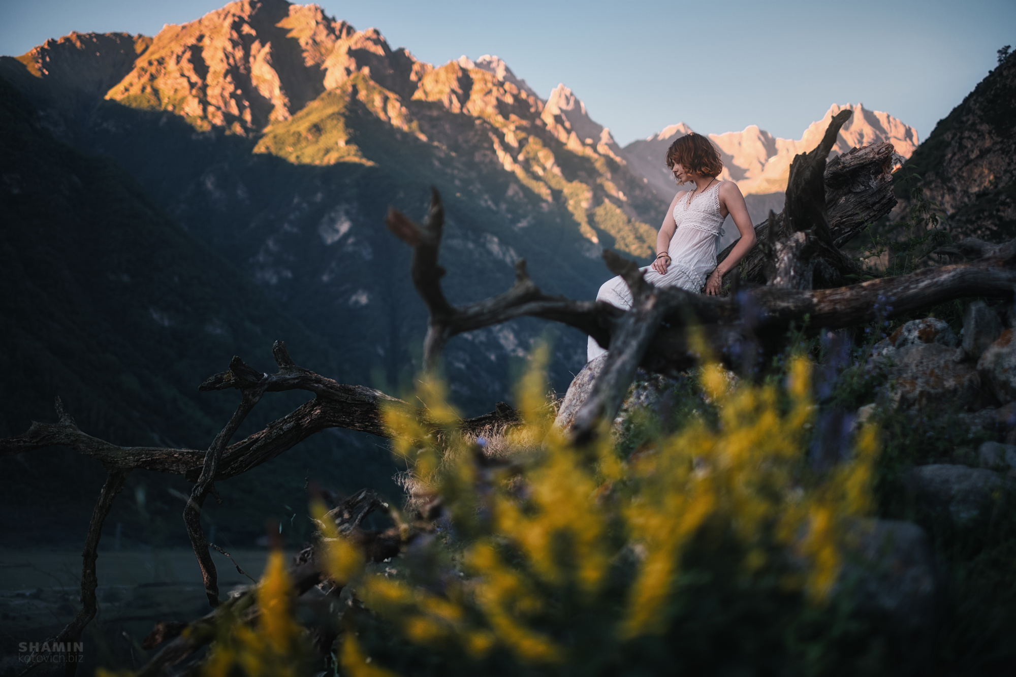 , Константин Шамин