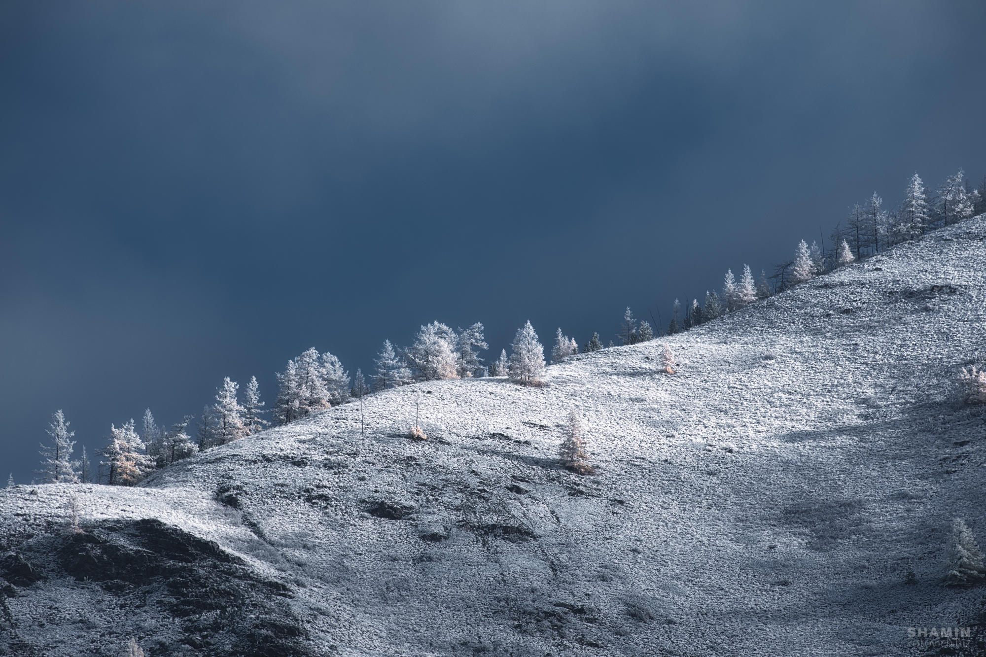 , Константин Шамин