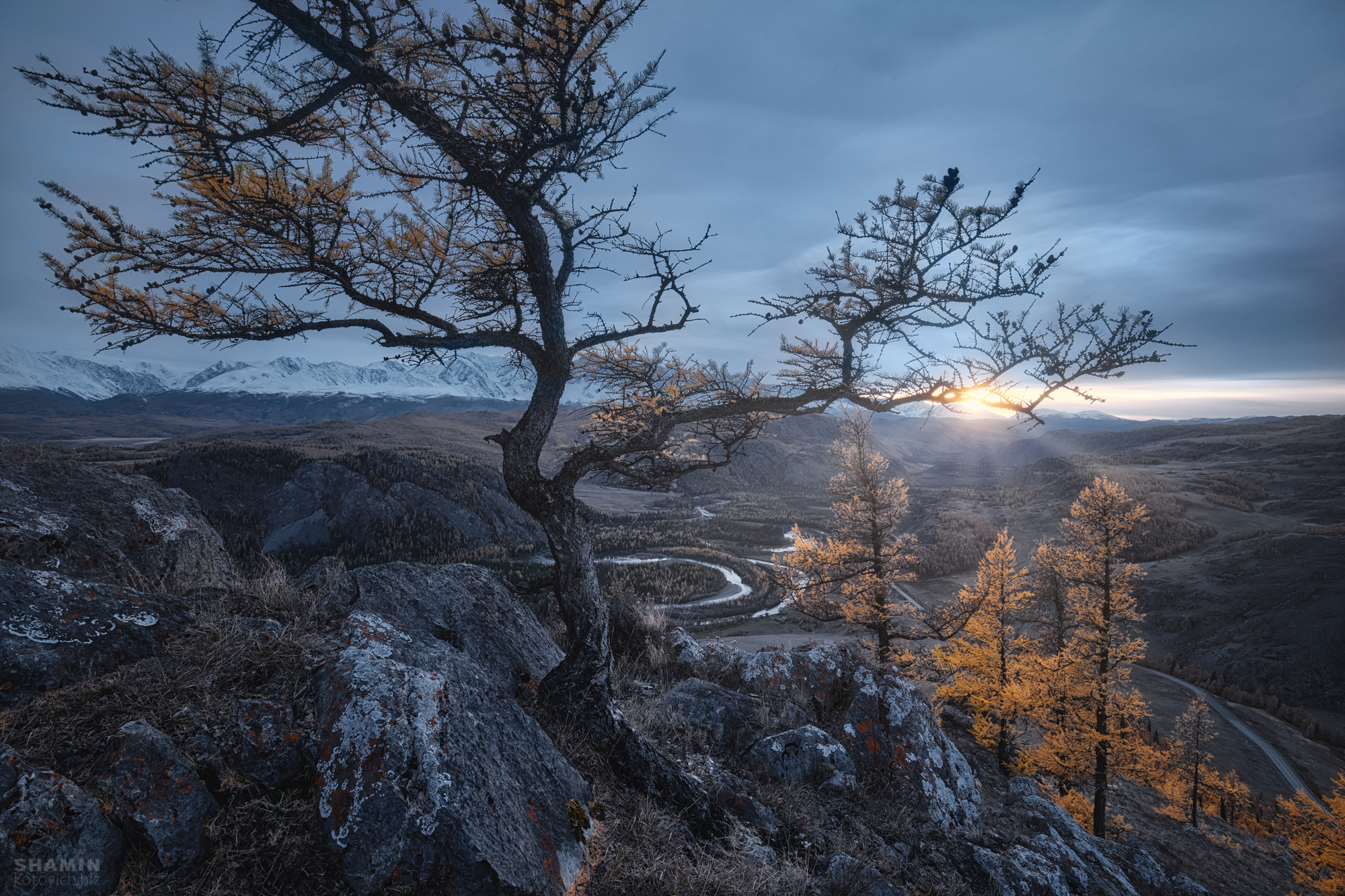 , Константин Шамин