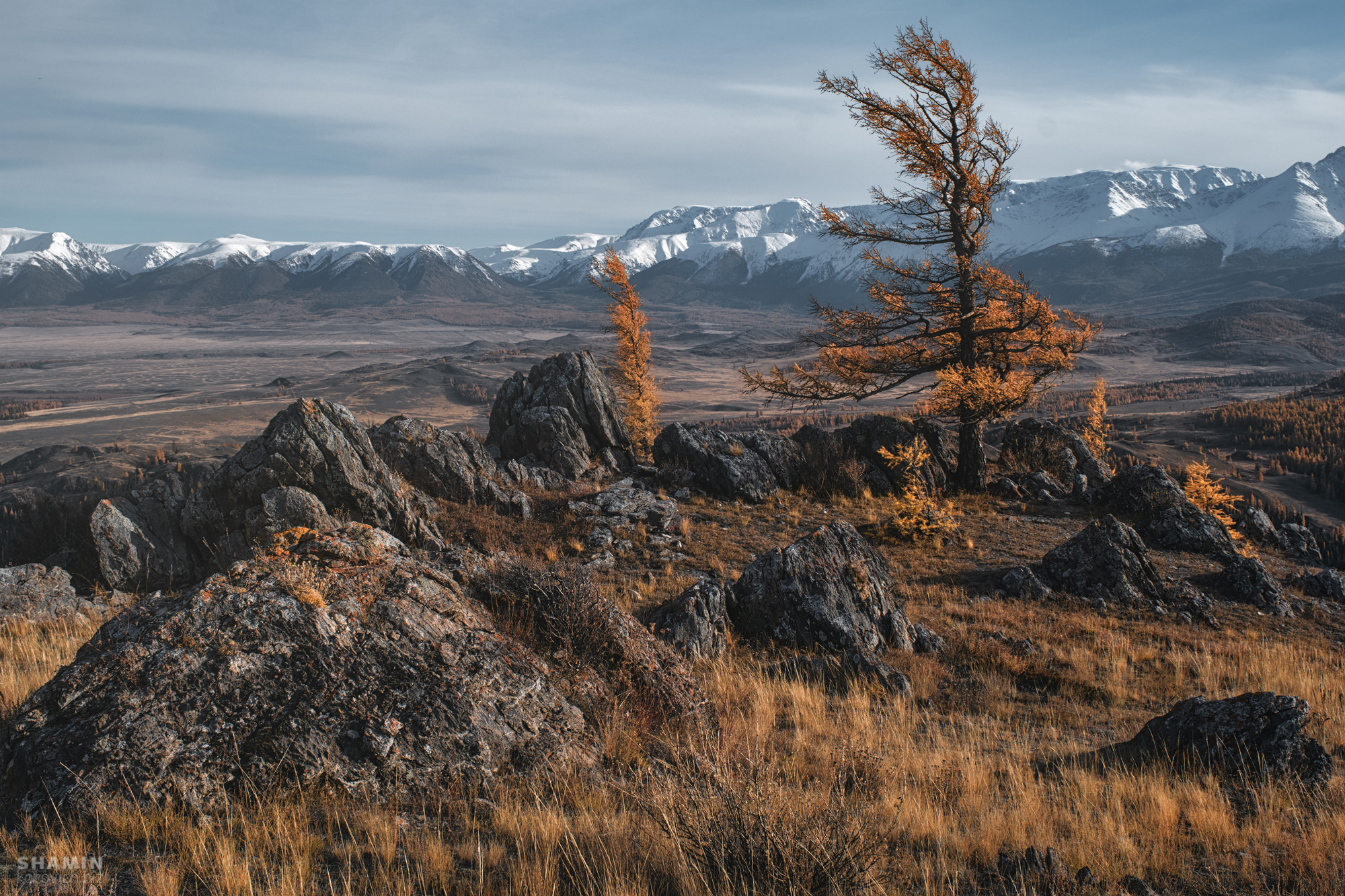 , Константин Шамин