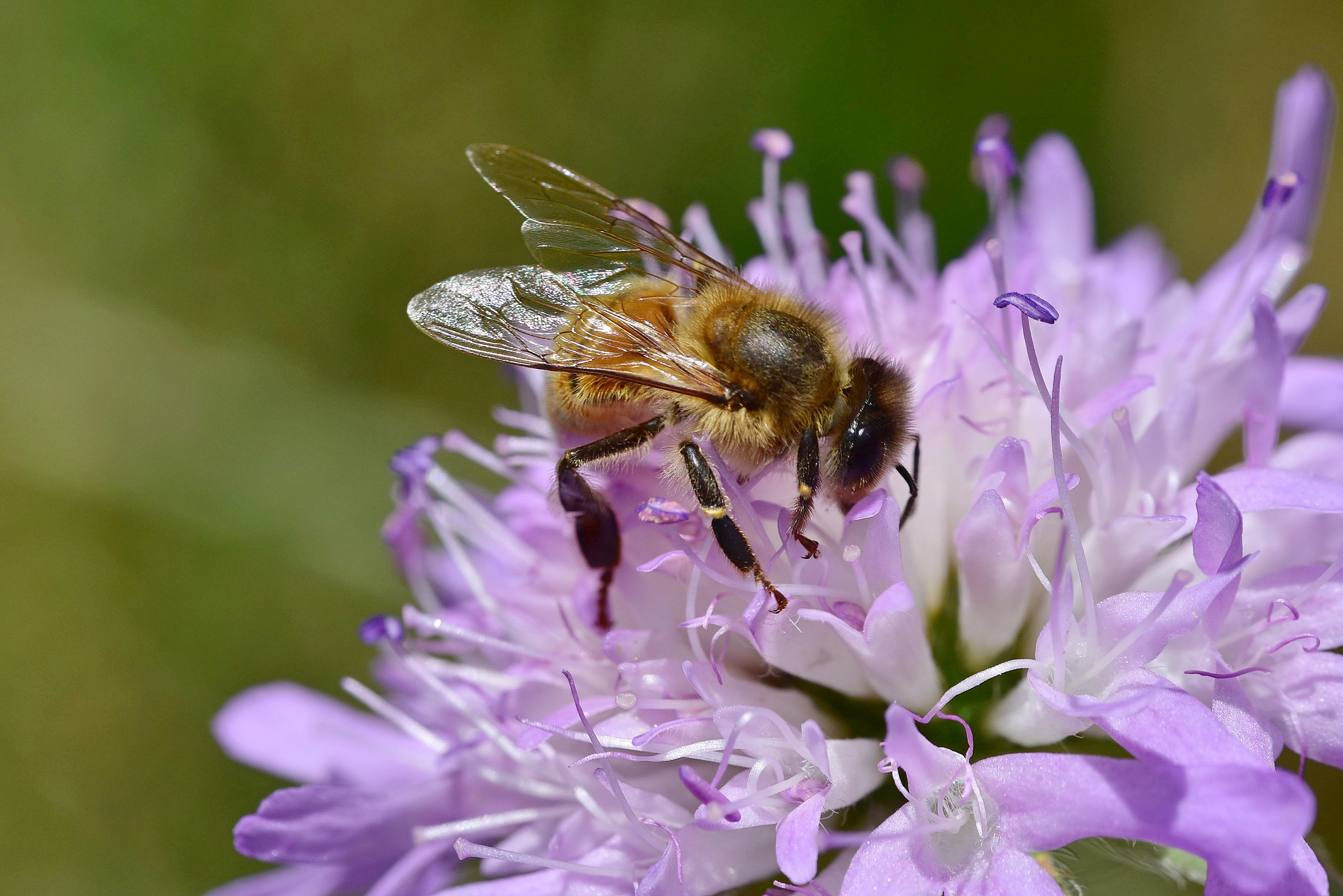 , Корнейчук Игорь
