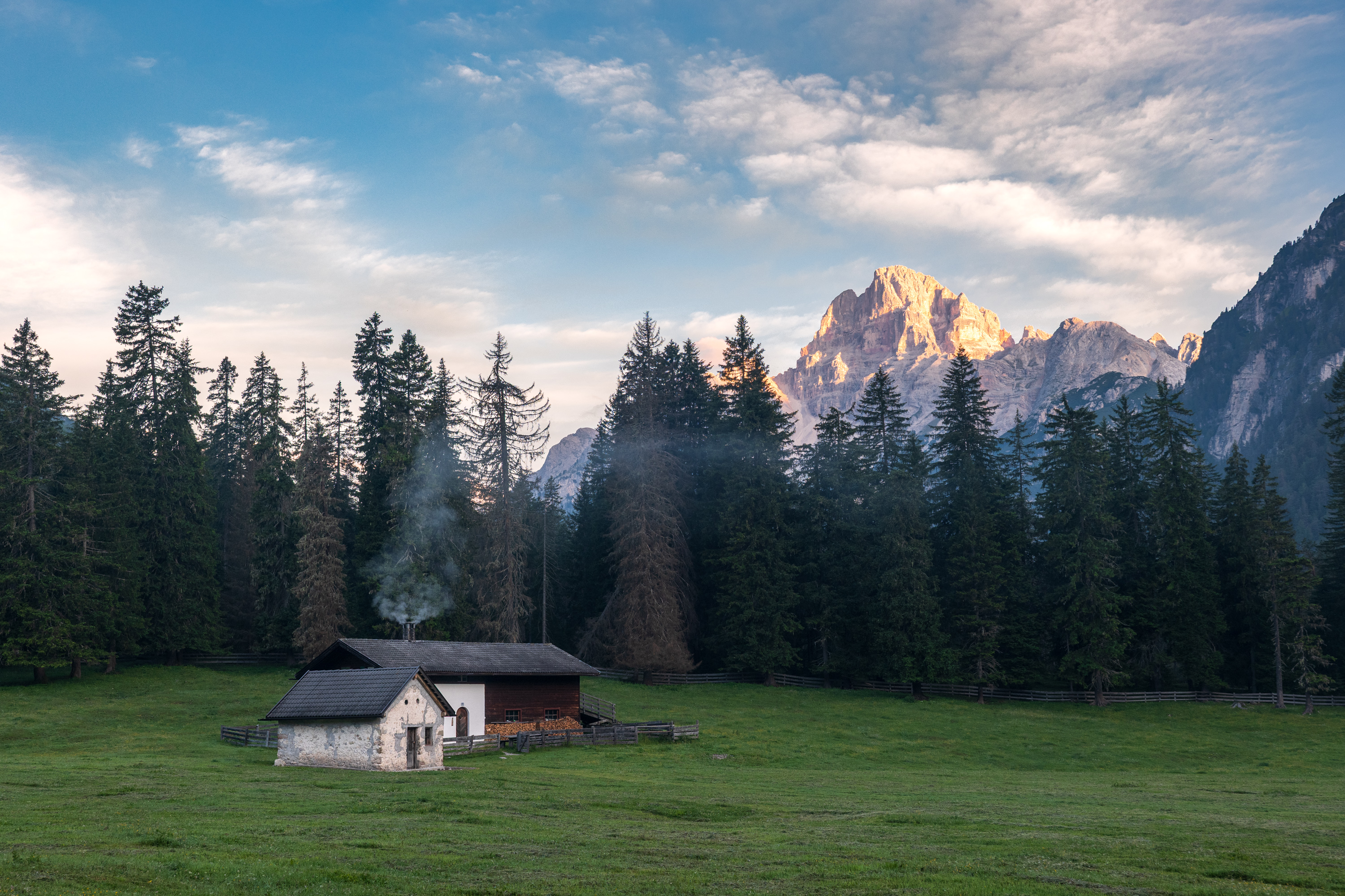 , Гордон Николай