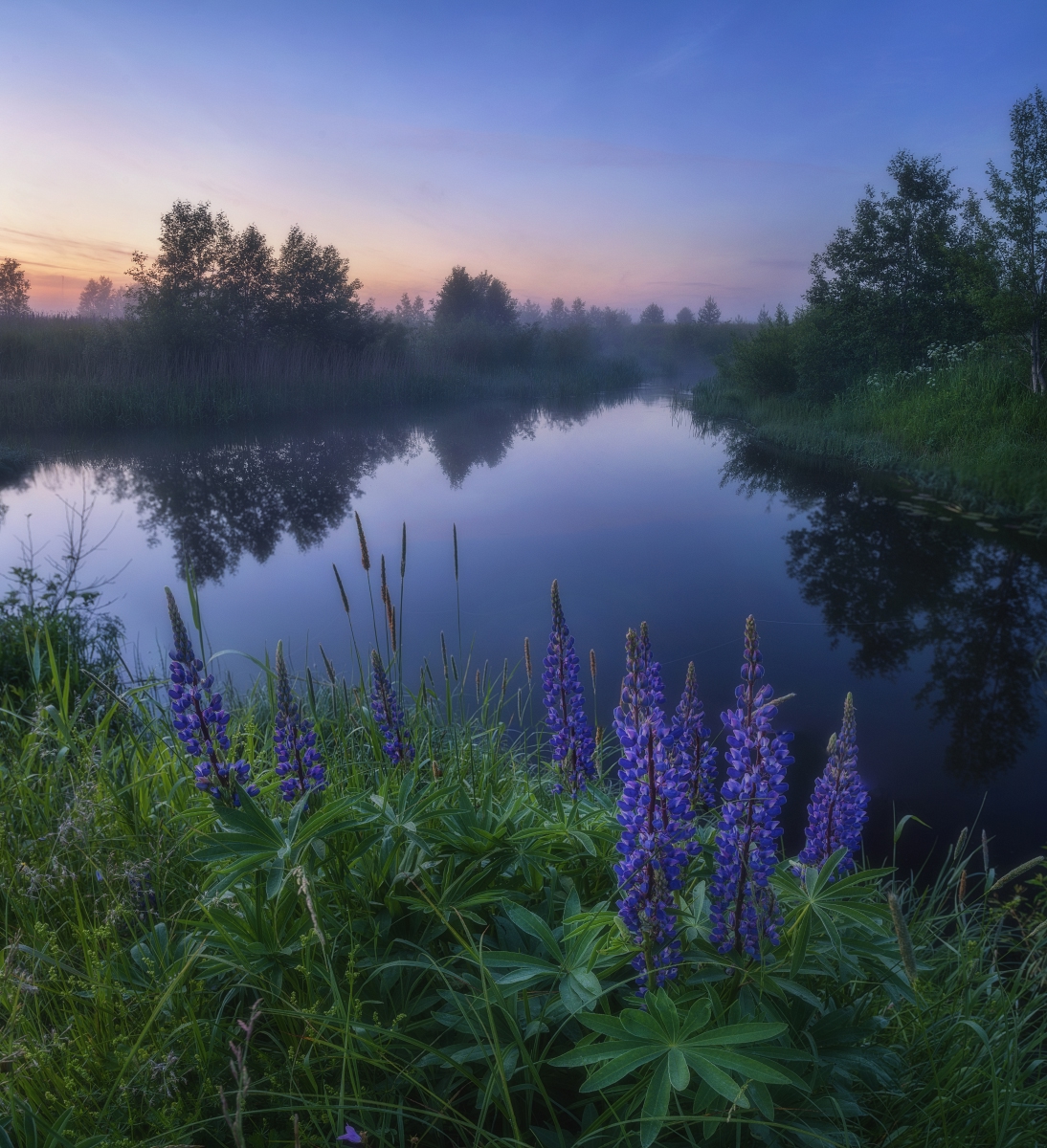 , Михаил Устюжанин