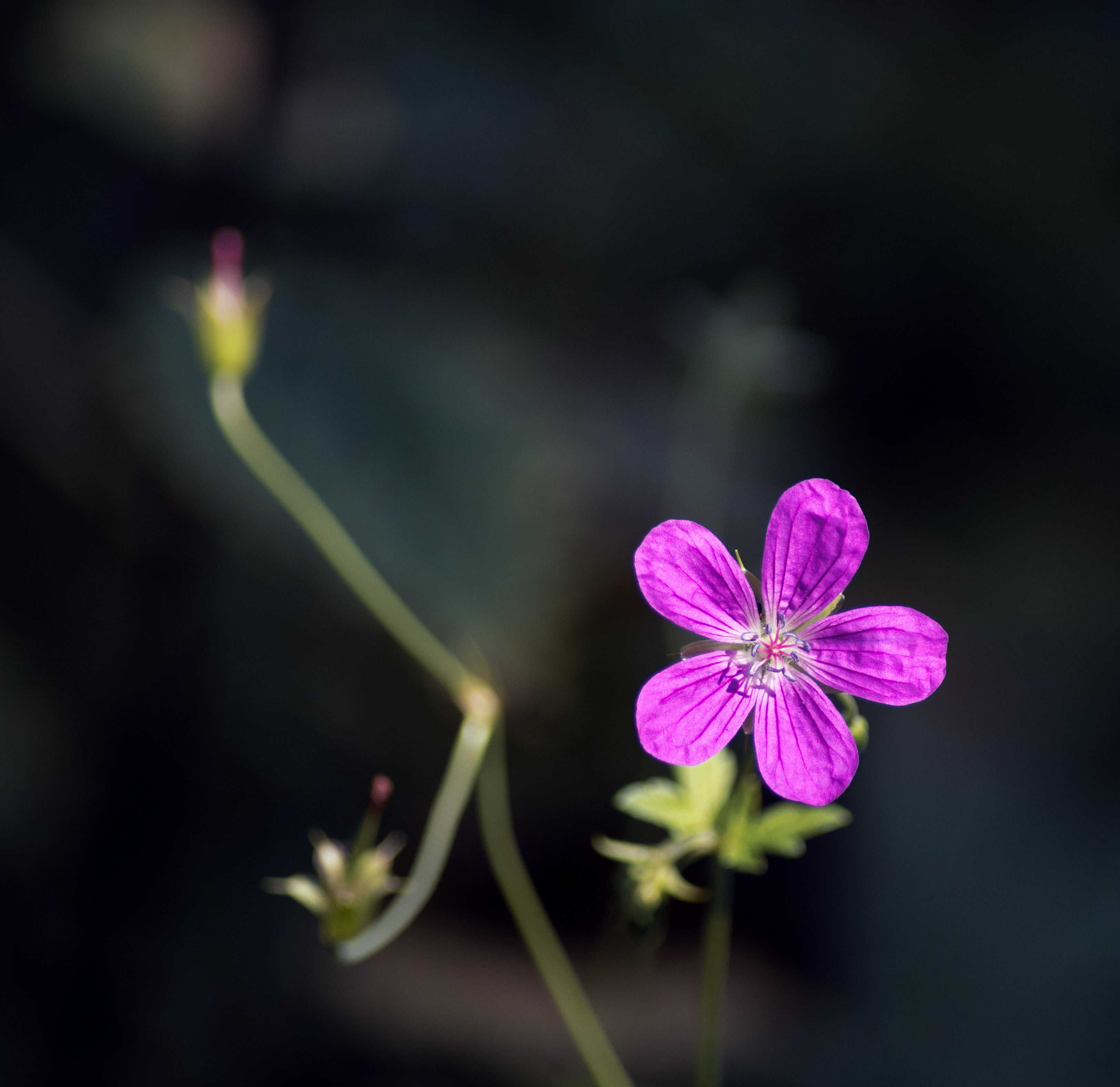 , Куликова Ирина