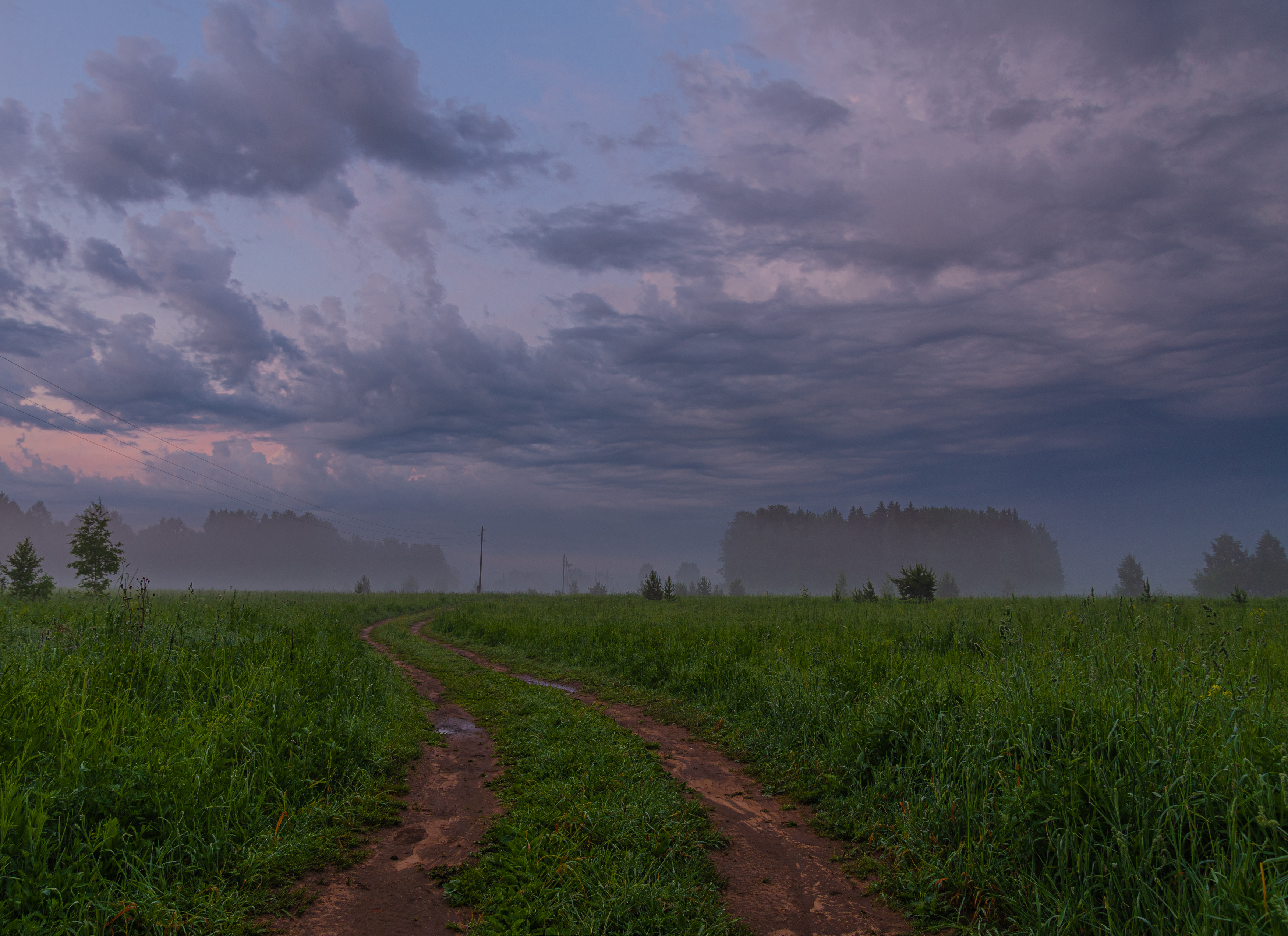 , Кокорин Алексей