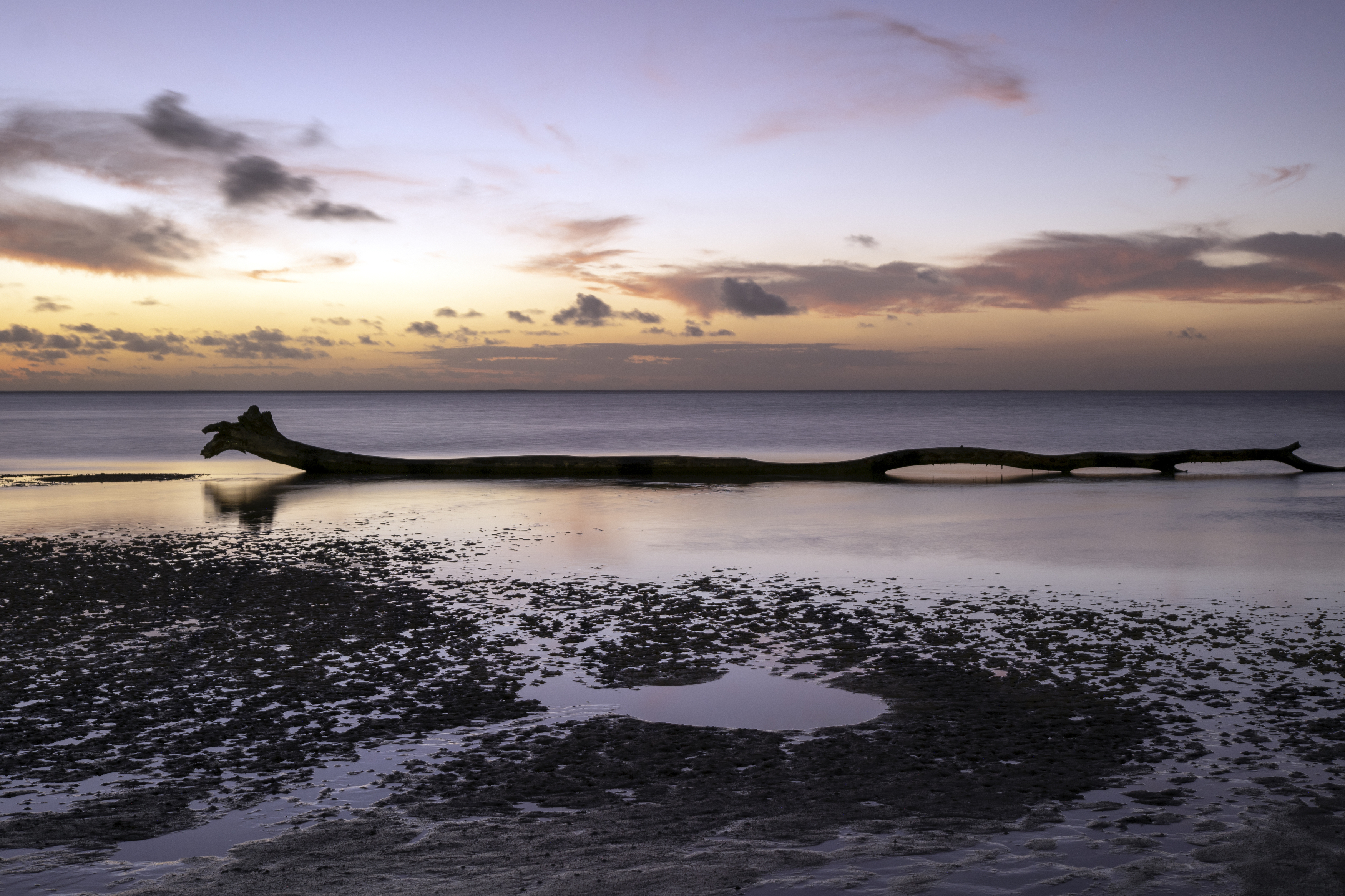 , Игорь Юркин