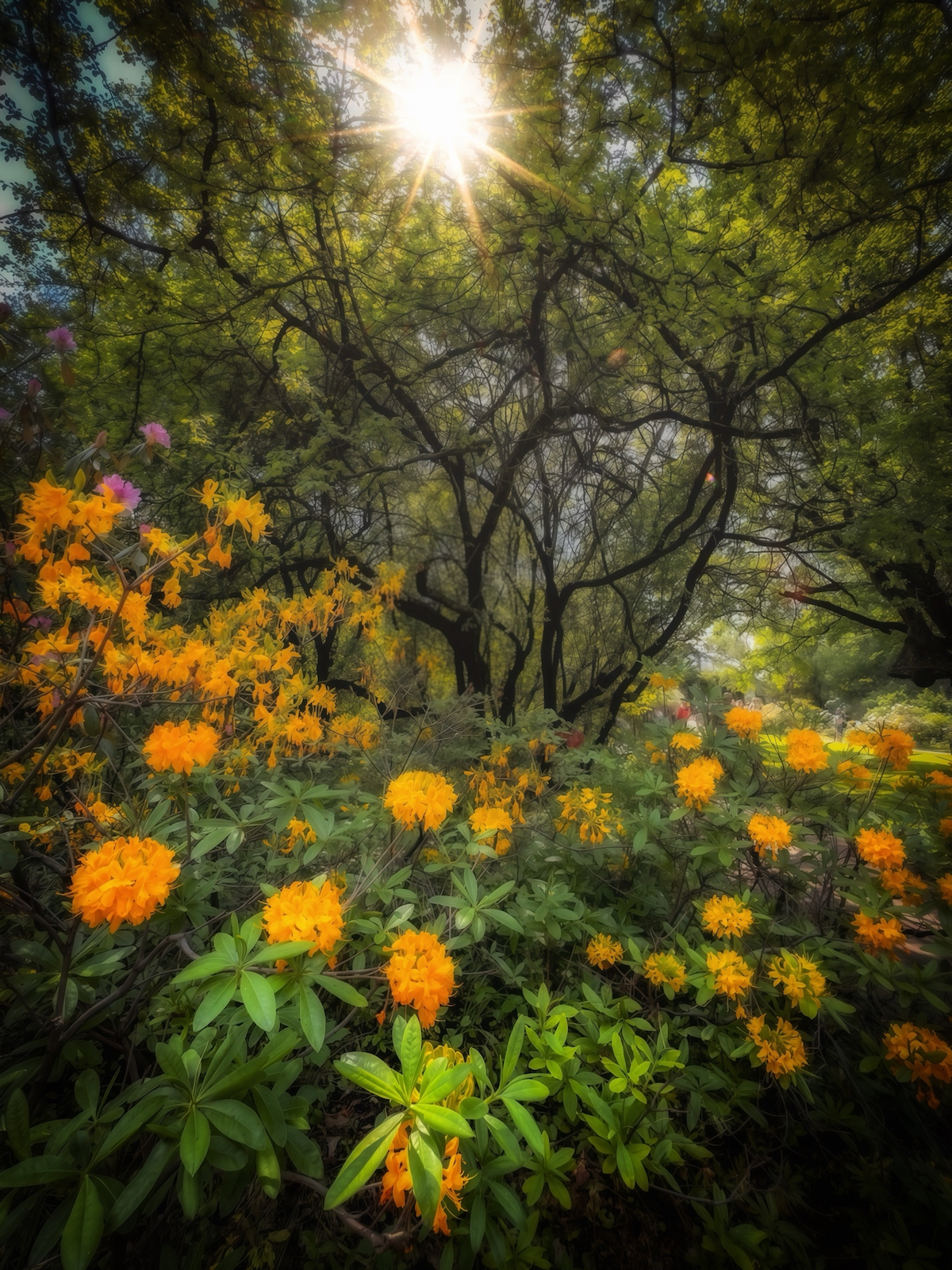 пейзаж, landscape, nature, природа, лето, summer, Julia Kaissa