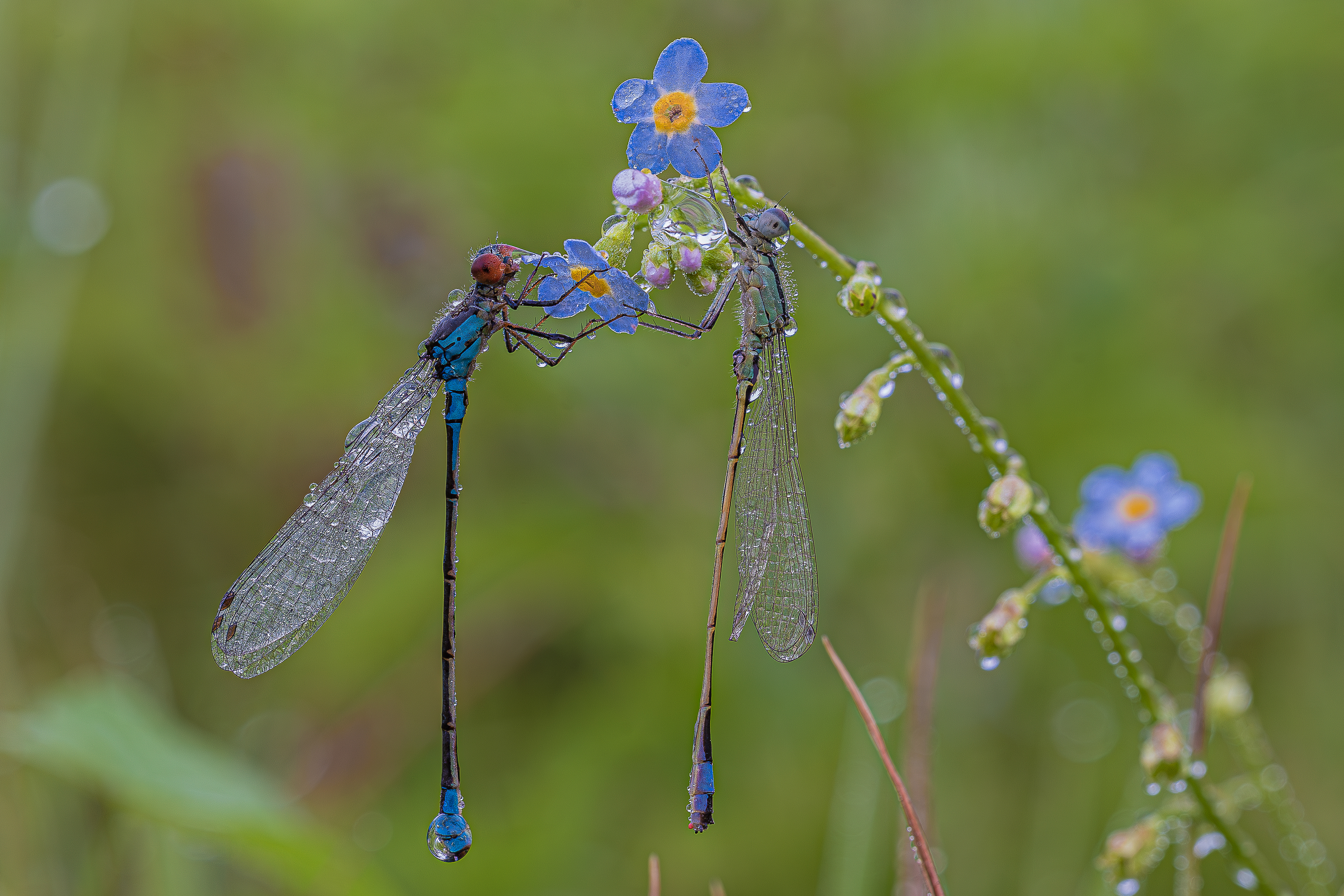 , Зайцев Роман