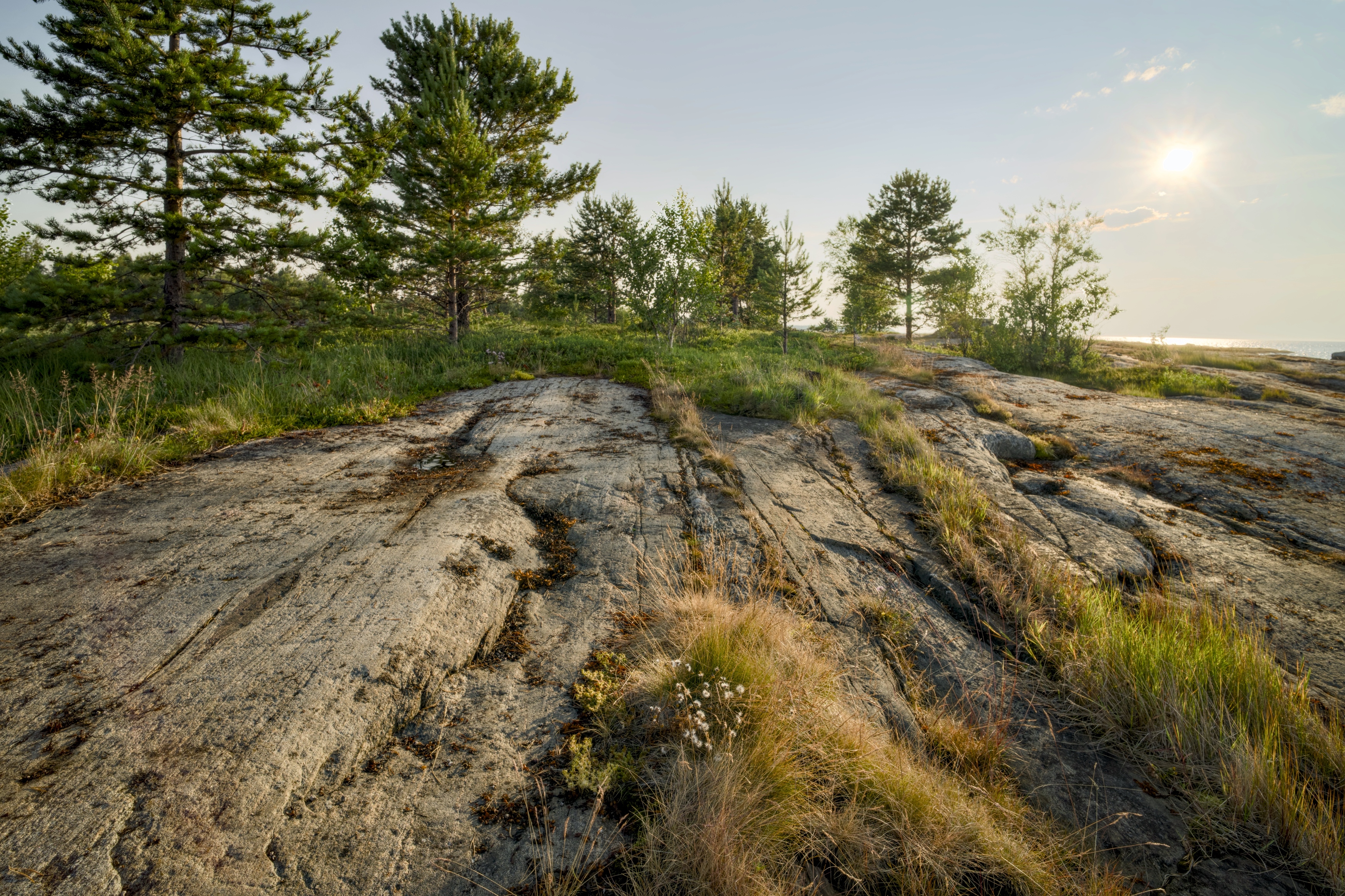 лето беломорье вечер скала камень, Igor Shishpanov