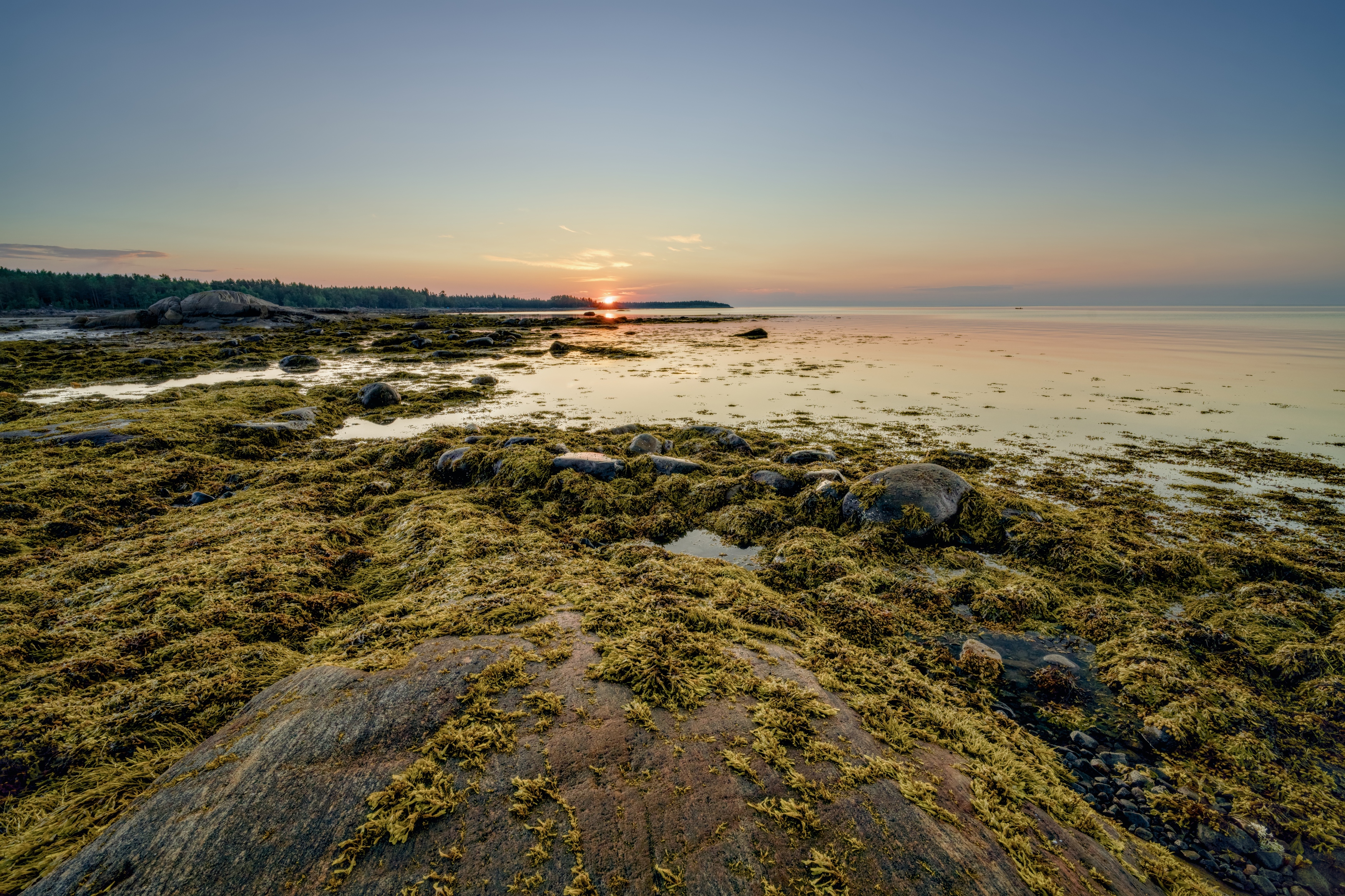 белое море отлив скала камень карелия рассвет, Igor Shishpanov