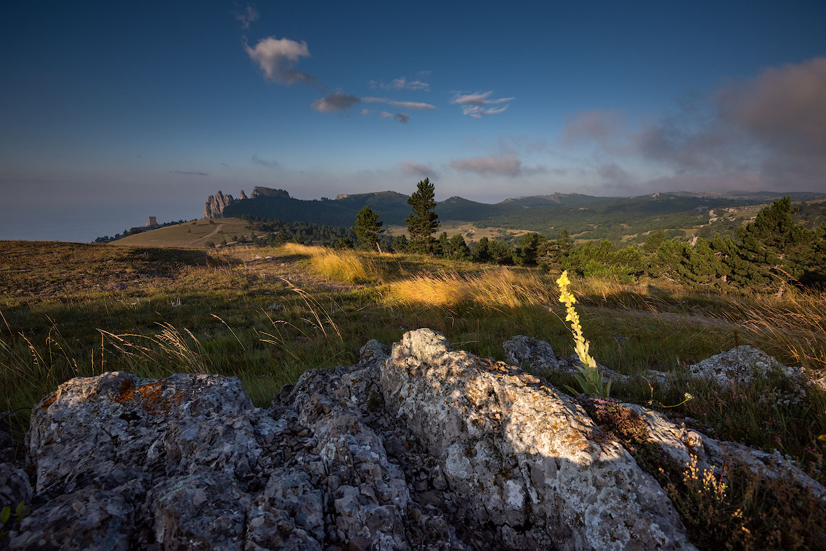, Андрей Гусаченко