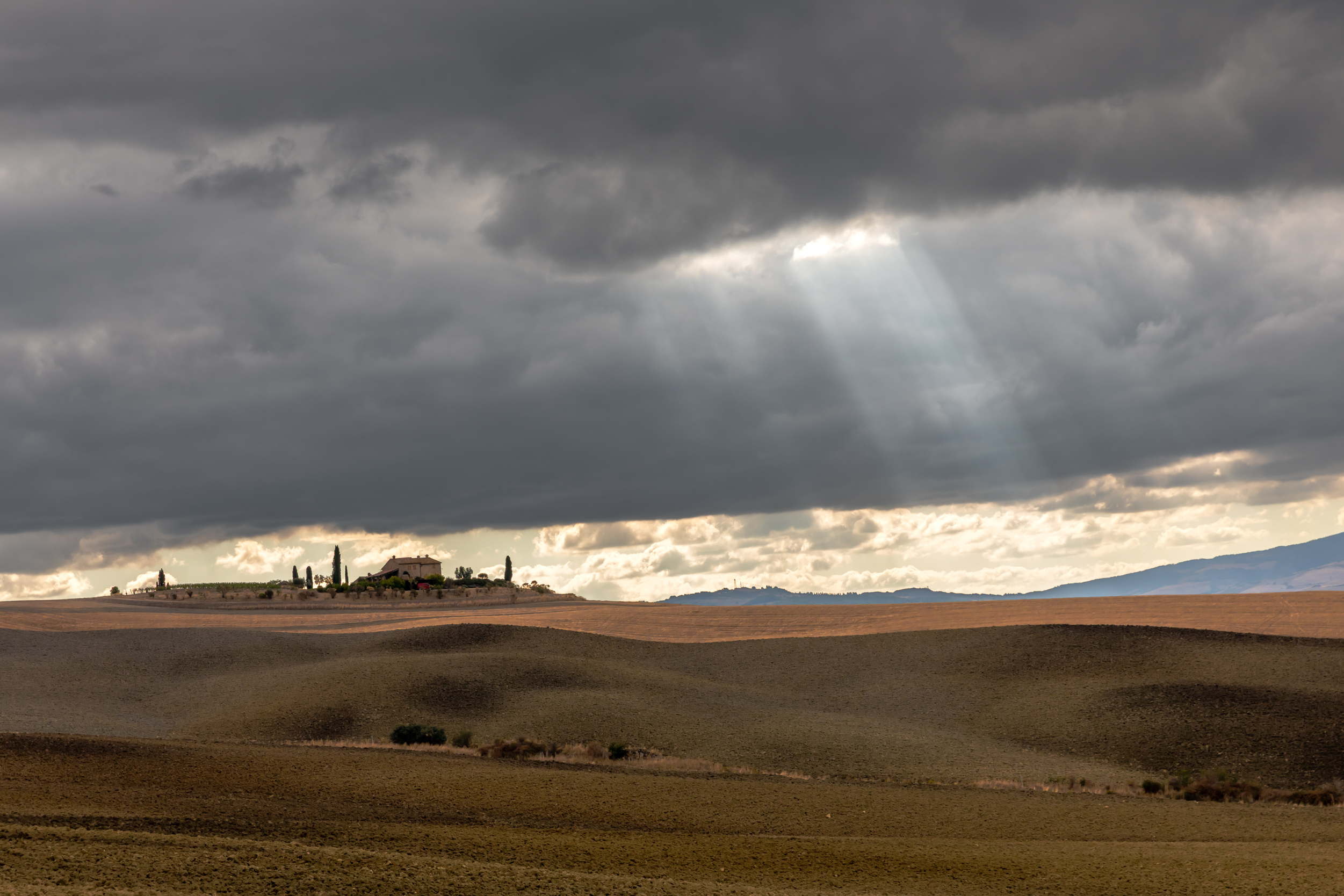 , Евгения Чех