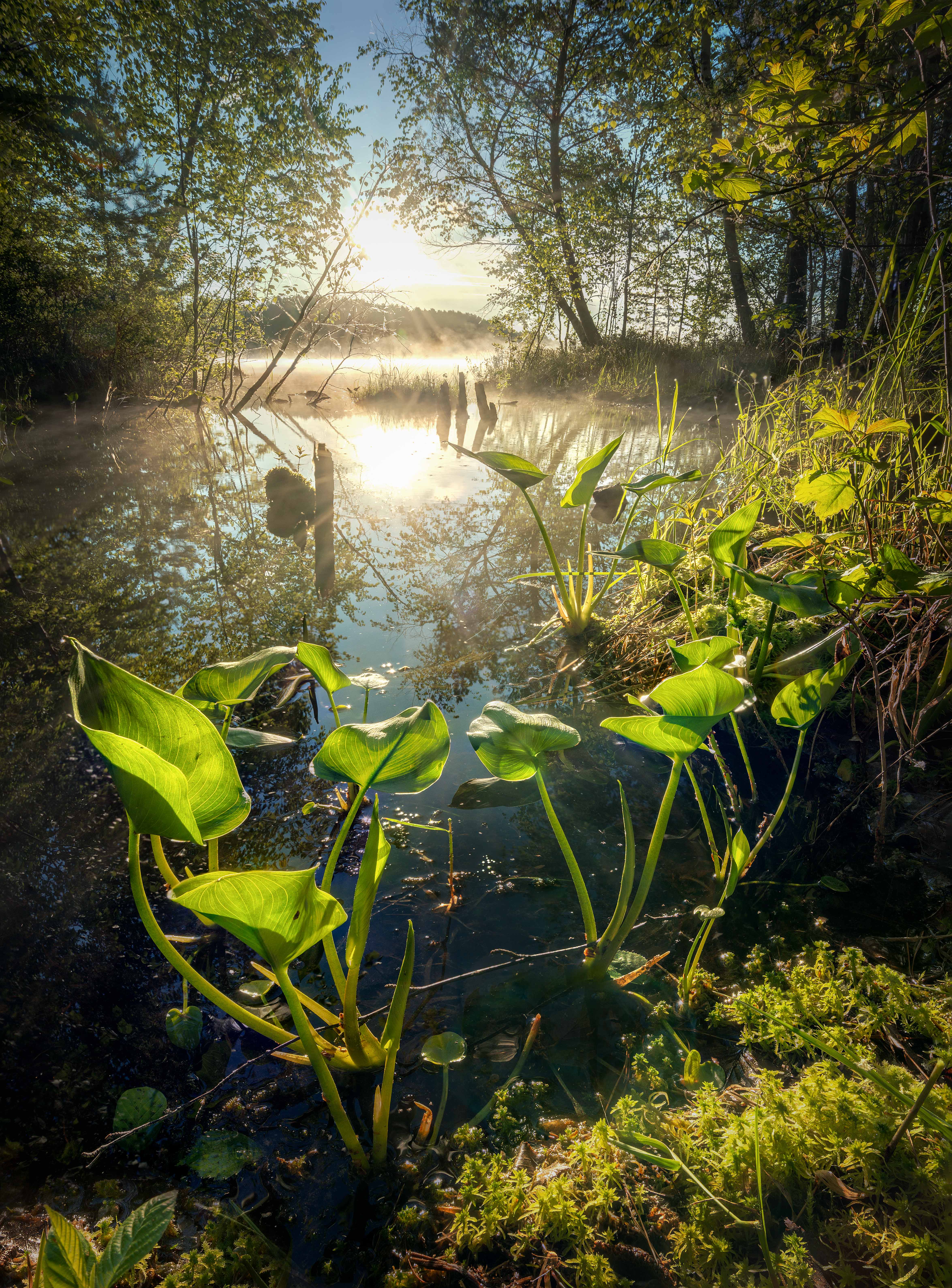 , Евгений Важенин