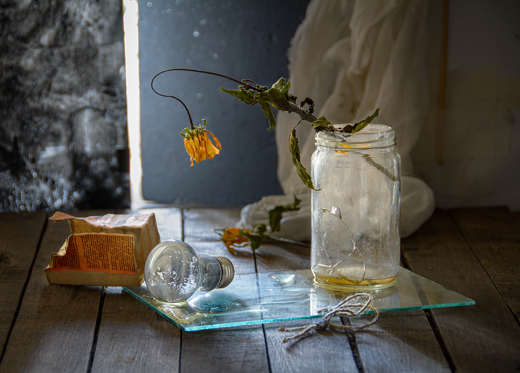 лампочка, перегоревшая, электричество, банка, стекло, треснувший, цветок, желтый, сухой, Алексей Бычков