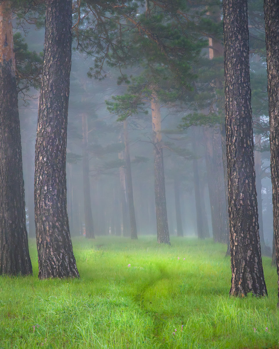 , Сергей Брагин